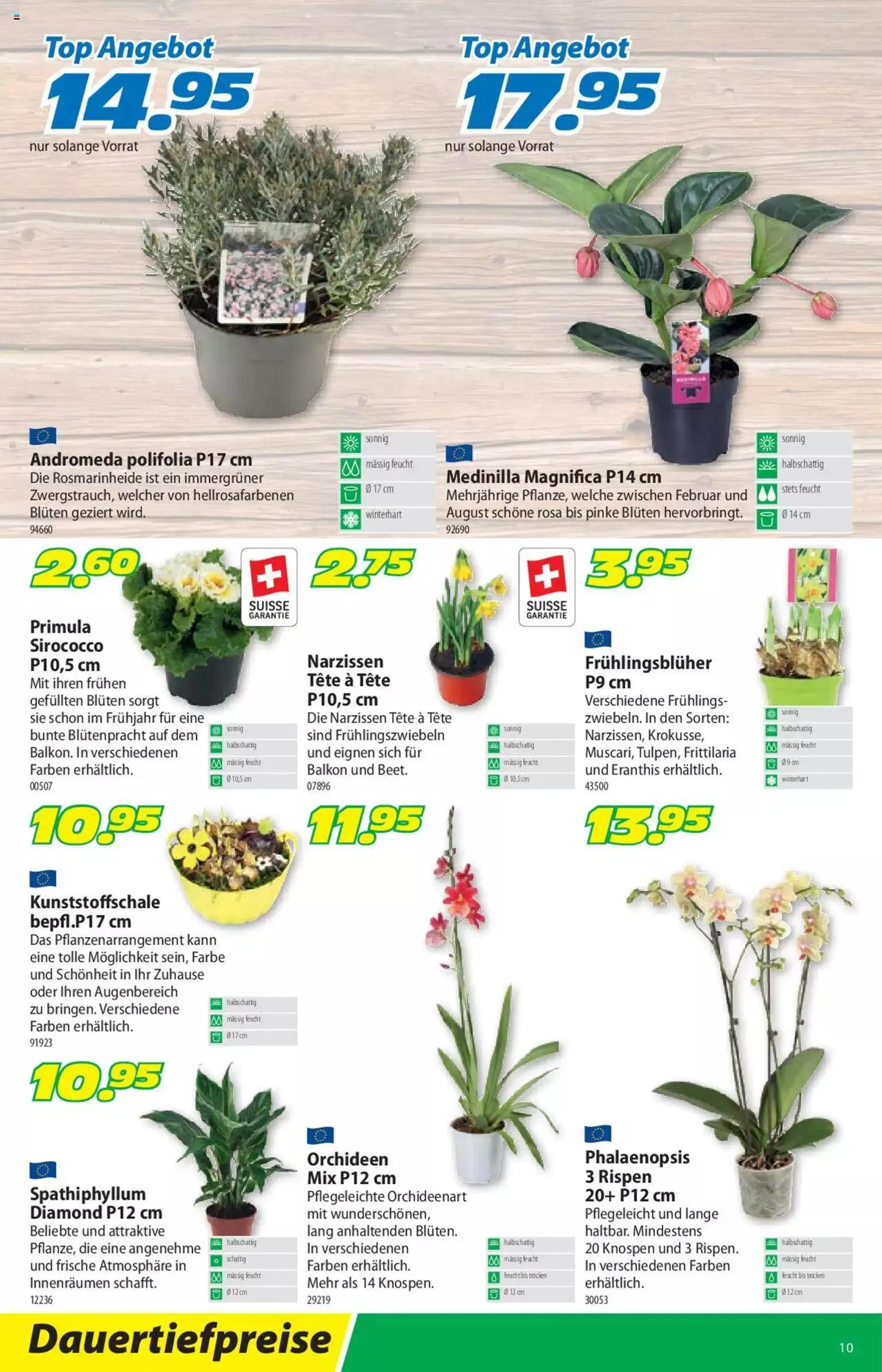 Landi Aktionen von 22. Januar bis 4. Februar 2024 - Prospekt seite  14