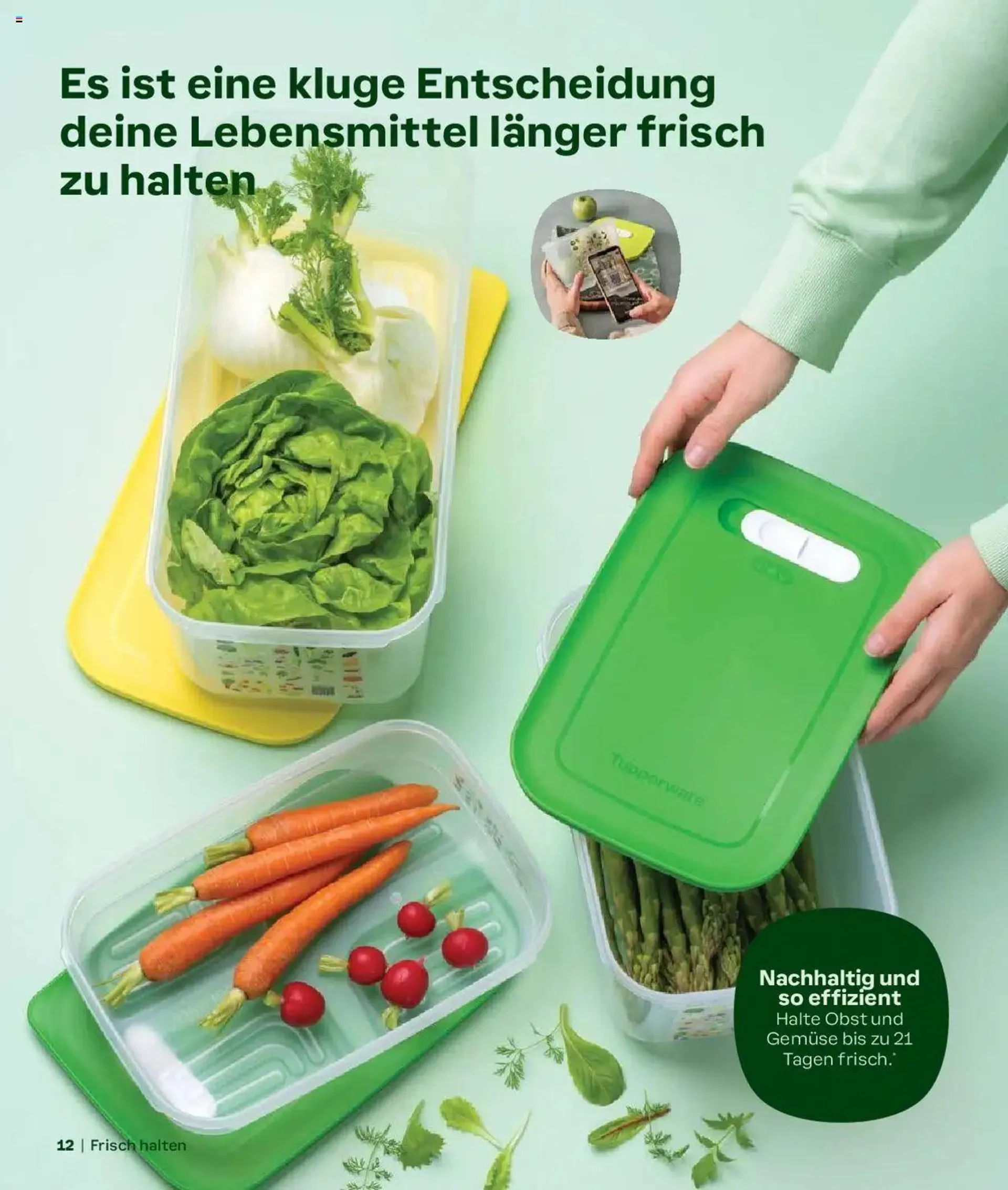Tupperware Aktionen Herbst / Winter 2024/25 von 2. September bis 31. Dezember 2024 - Prospekt seite  12