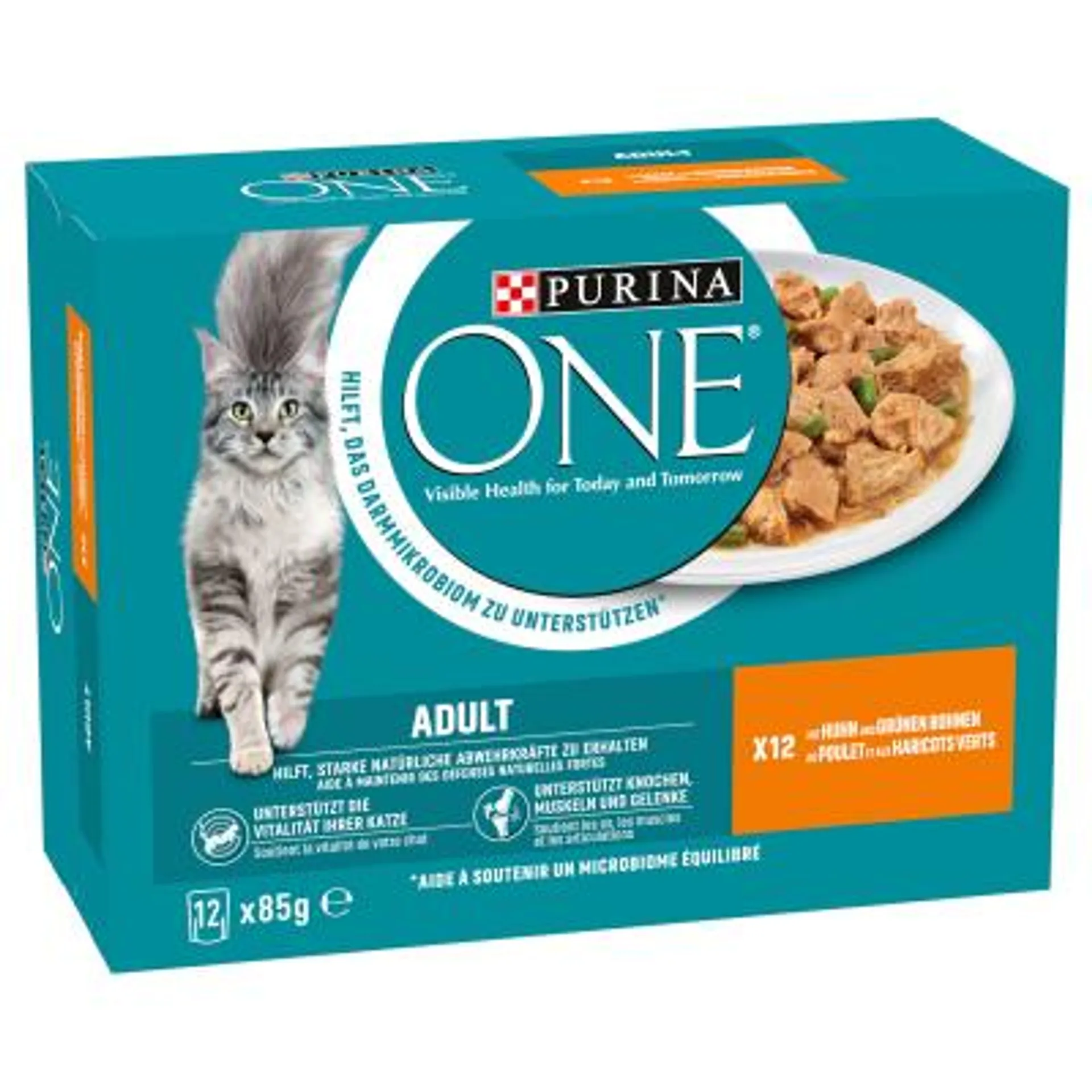 Purina ONE Adult in Sauce Huhn 12x85g