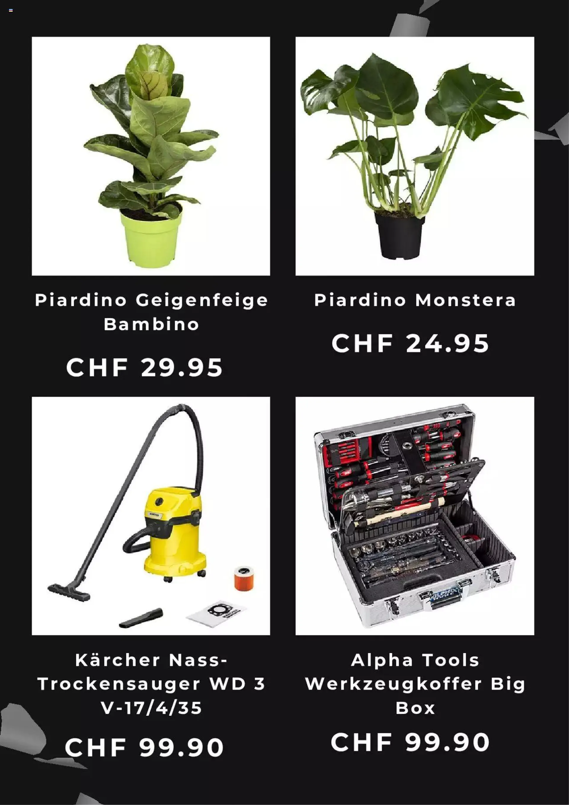 Bauhaus Black Week von 21. November bis 31. Dezember 2023 - Prospekt seite  3