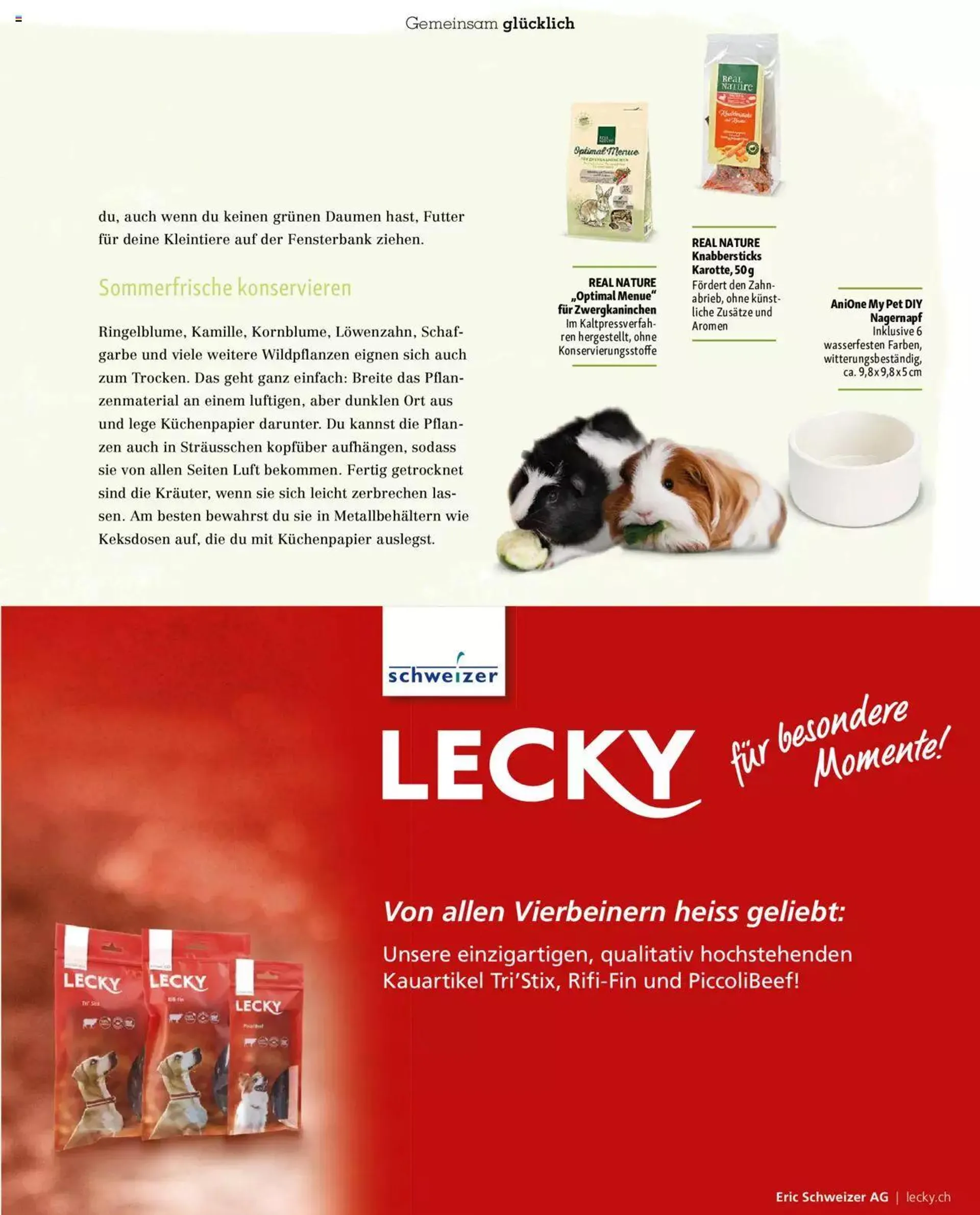 Fressnapf Magazin von 1. November bis 31. Dezember 2023 - Prospekt seite  39