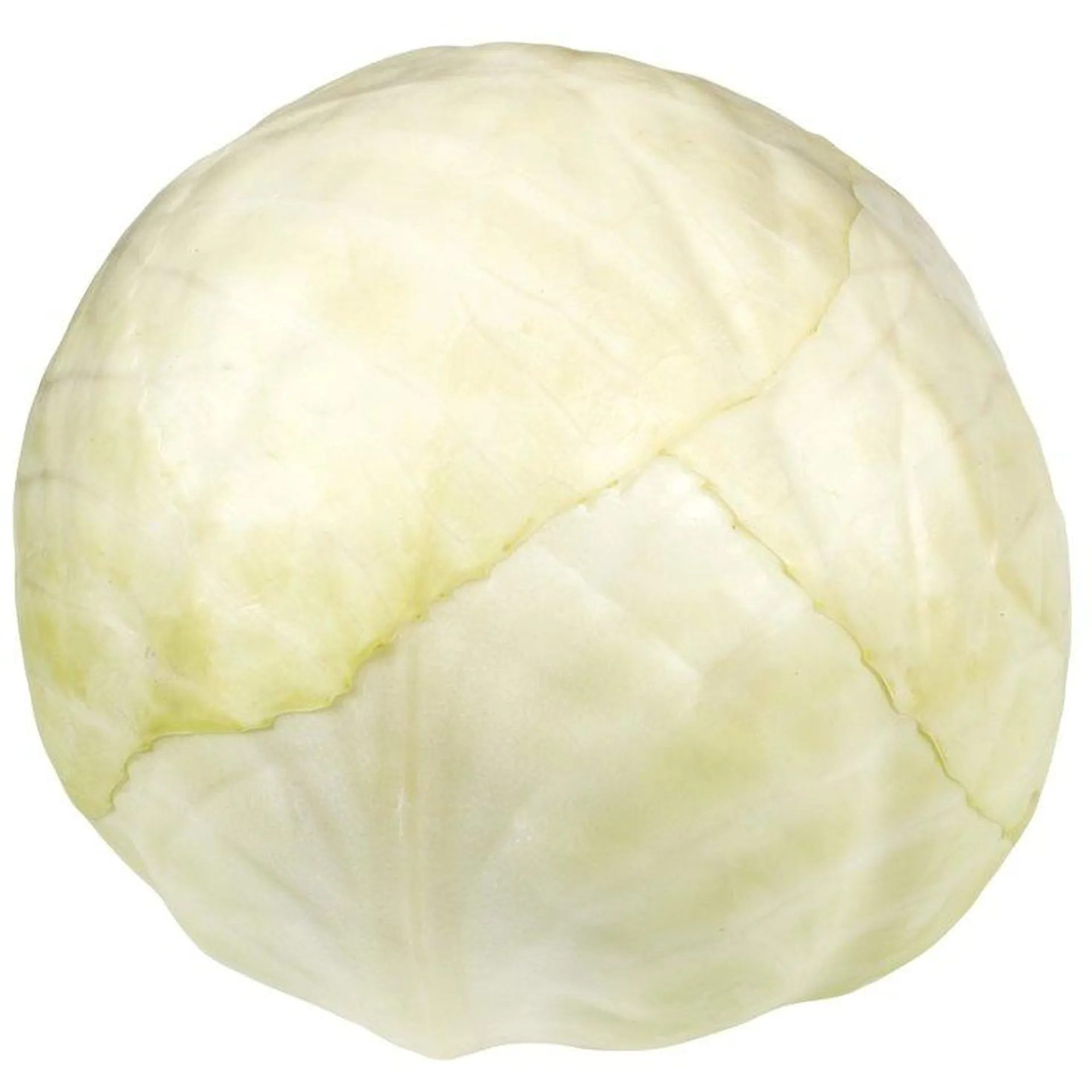 Naturaplan Bio Kabis weiss ca. 1kg