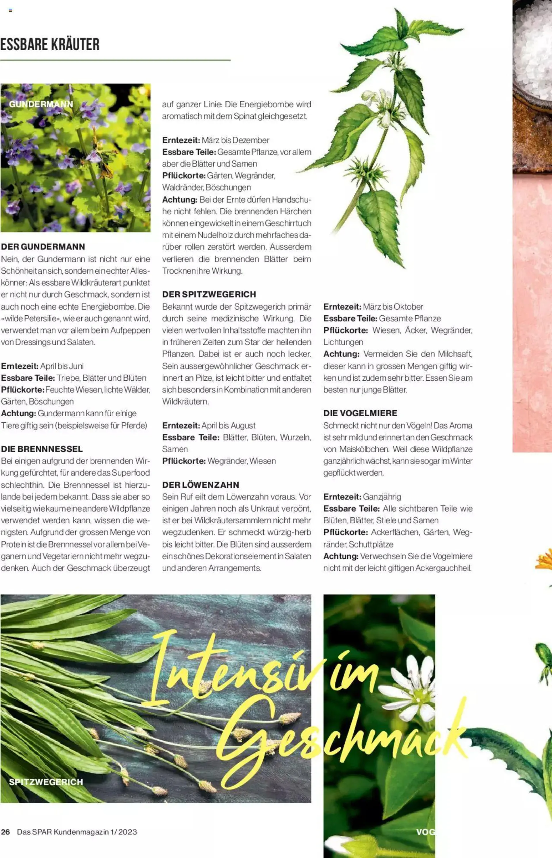 SPAR Kundenmagazin von 2. März bis 31. Dezember 2023 - Prospekt seite  26