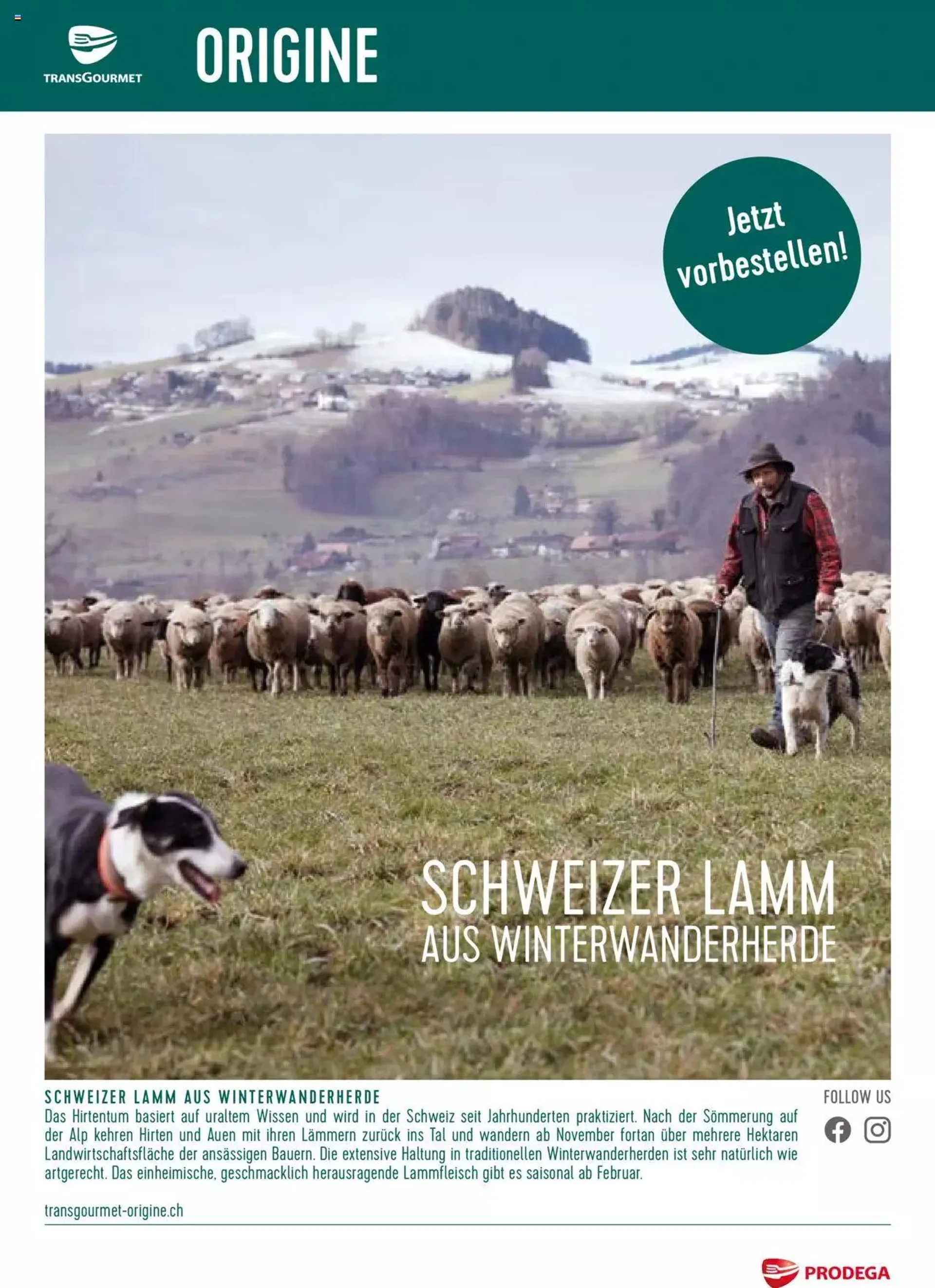 Prodega - Schweizer Lamm aus Winterwanderherde - 0