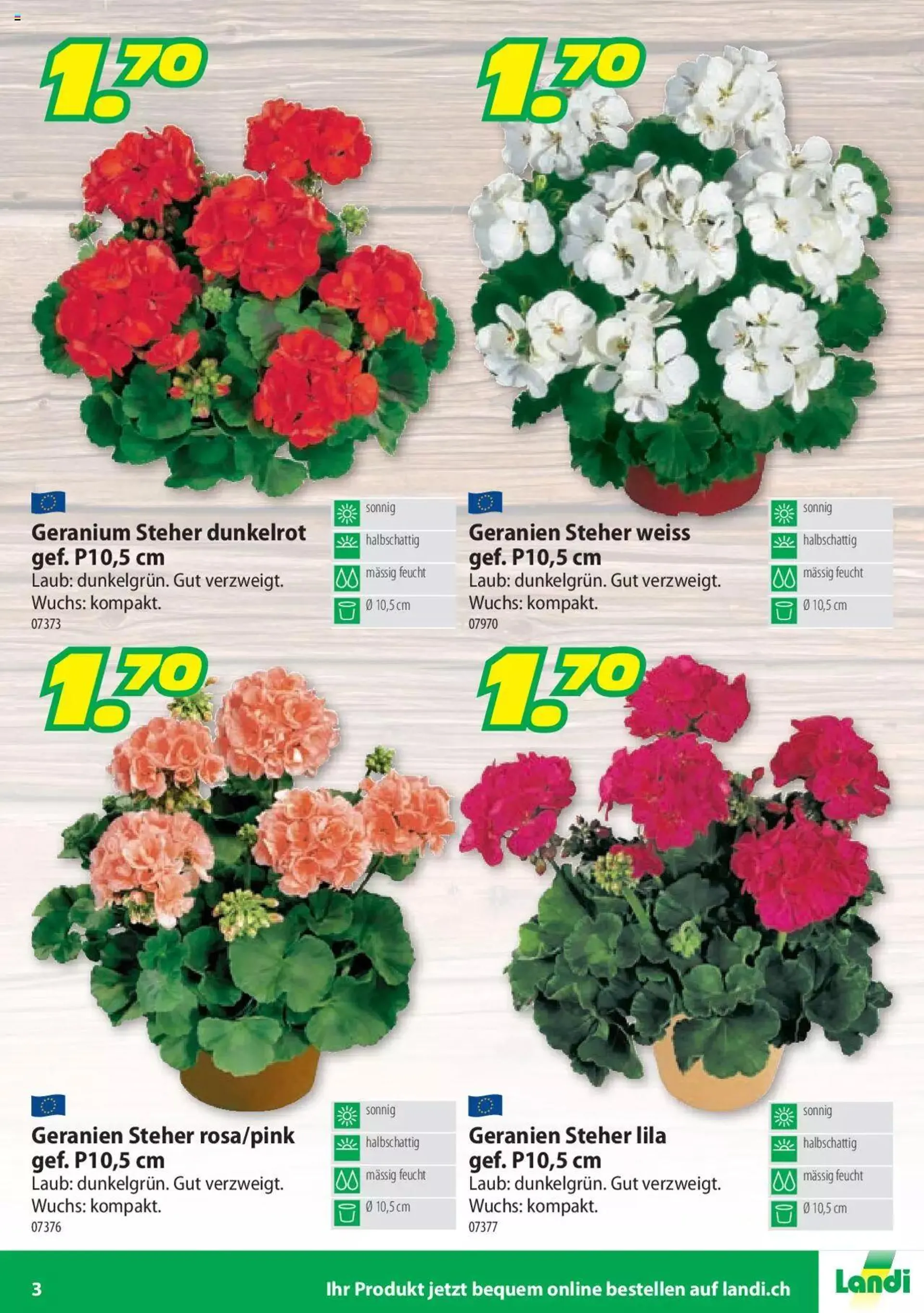 Landi - Geranien von 25. April bis 31. Dezember 2023 - Prospekt seite  3