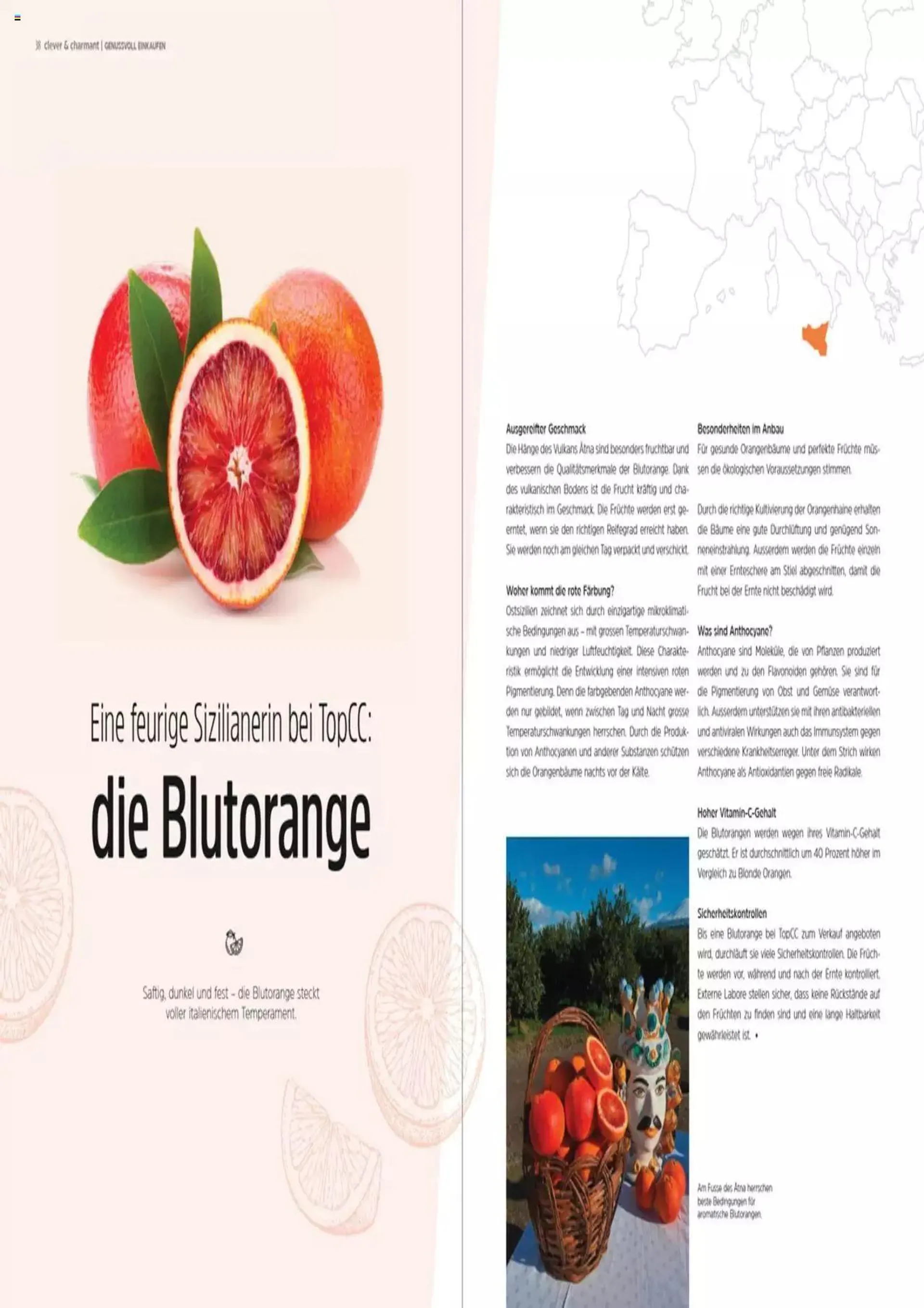 TopCC - Clever und Charmant von 13. Februar bis 31. Dezember 2023 - Prospekt seite  20