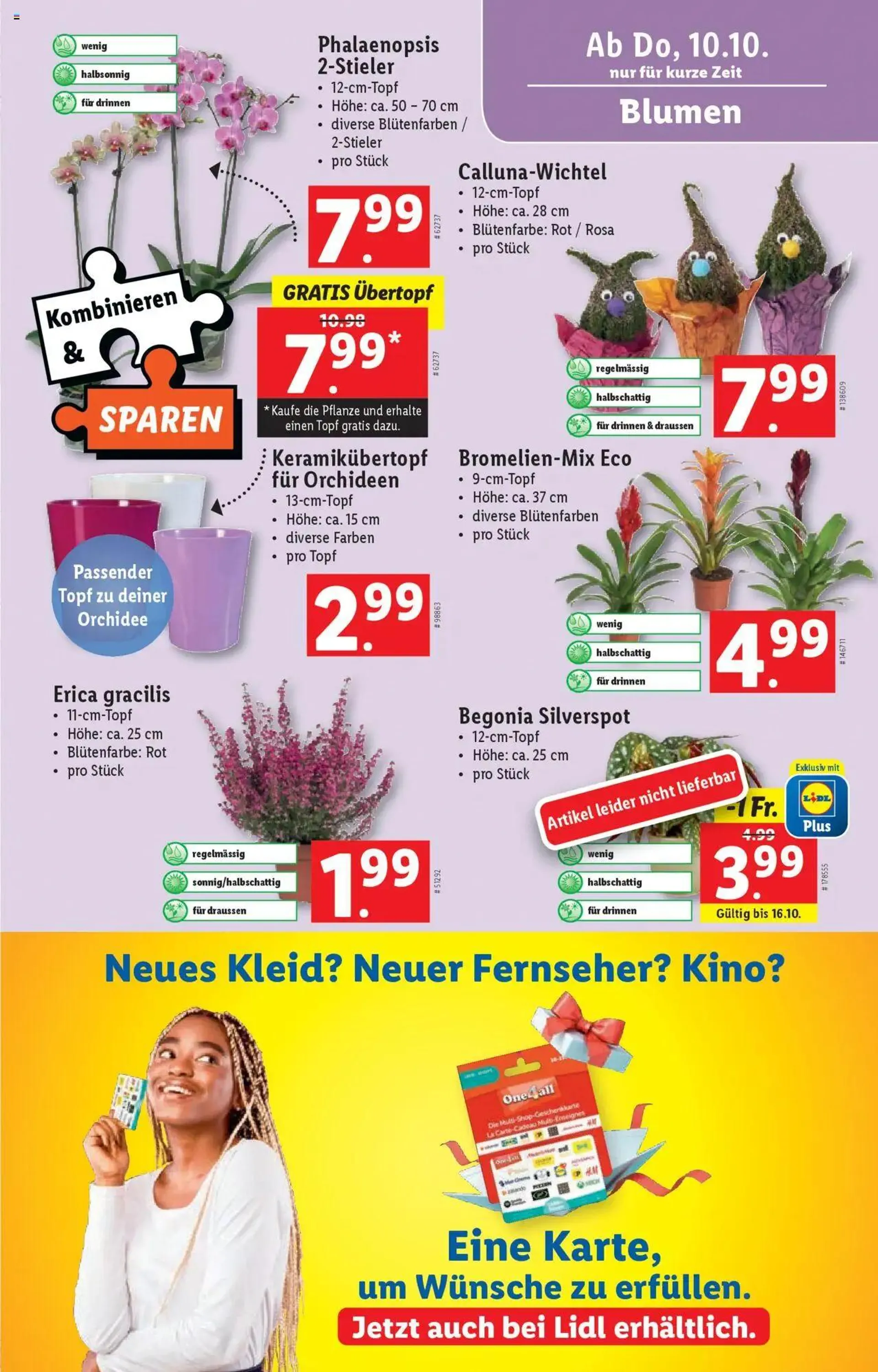 Lidl Aktionen von 10. Oktober bis 16. Oktober 2024 - Prospekt seite  21