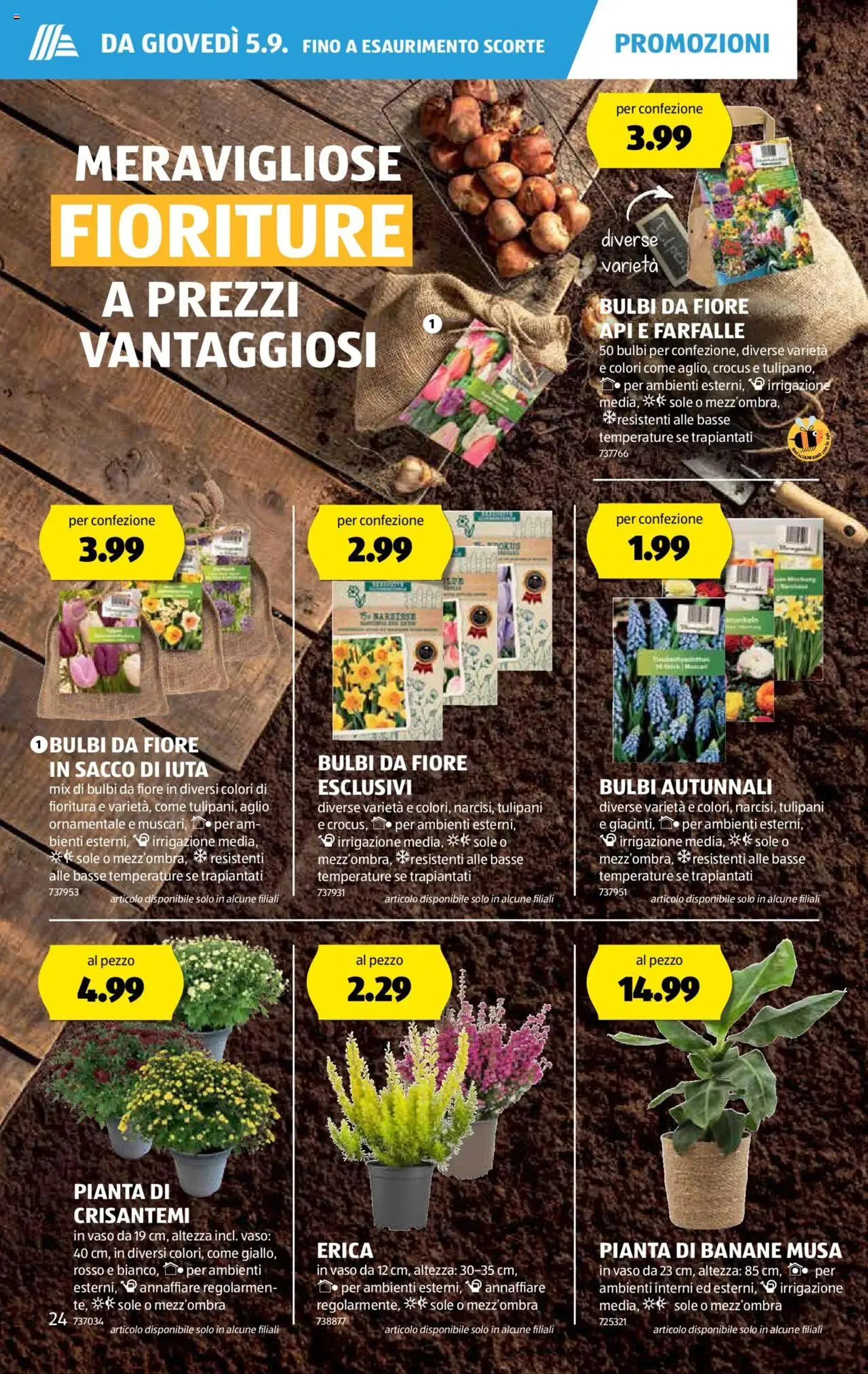 Aldi Aktionen von 5. September bis 11. September 2024 - Prospekt seite  25