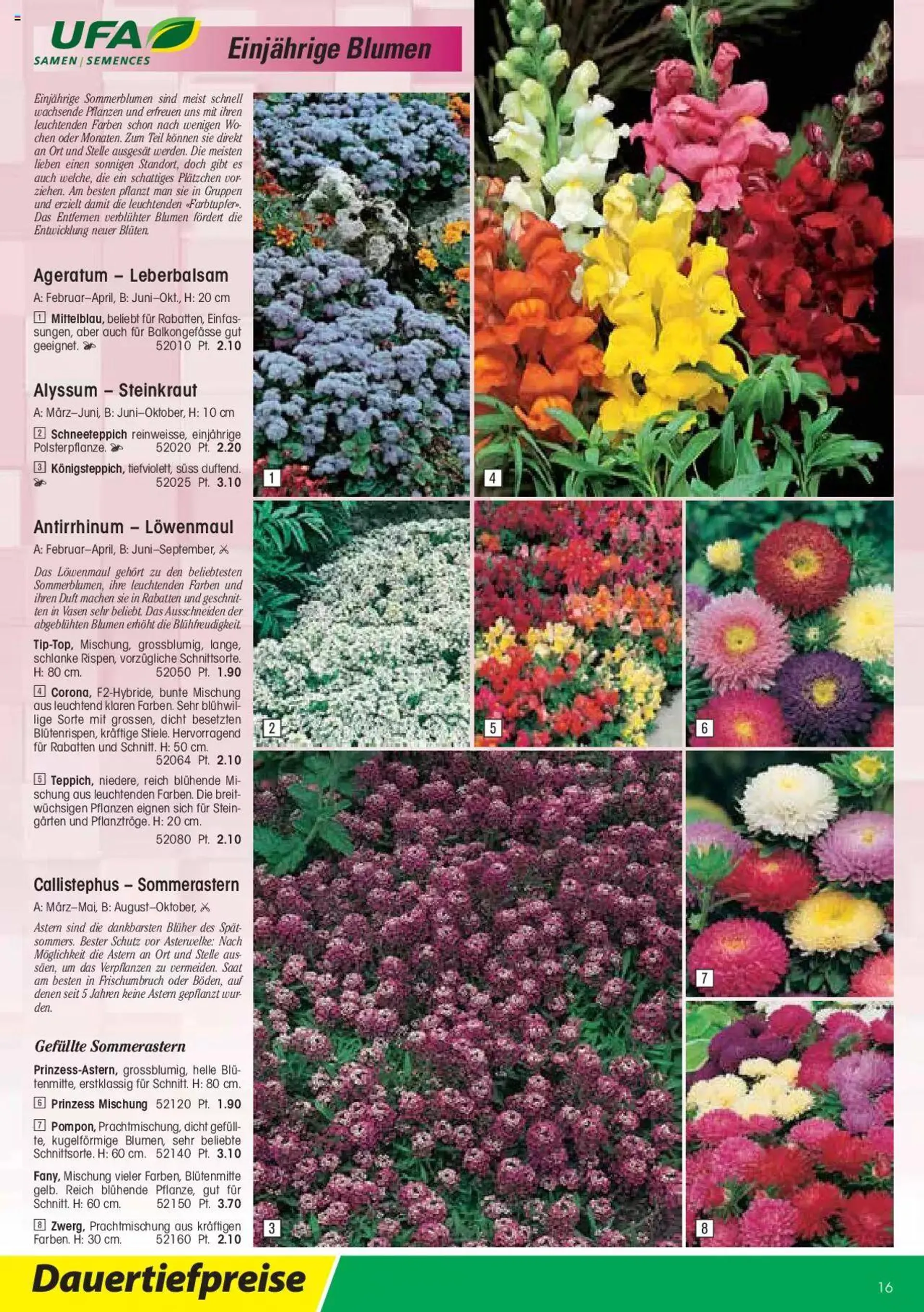 Landi - Gartensamen 2022 von 12. Januar bis 31. Dezember 2023 - Prospekt seite  16