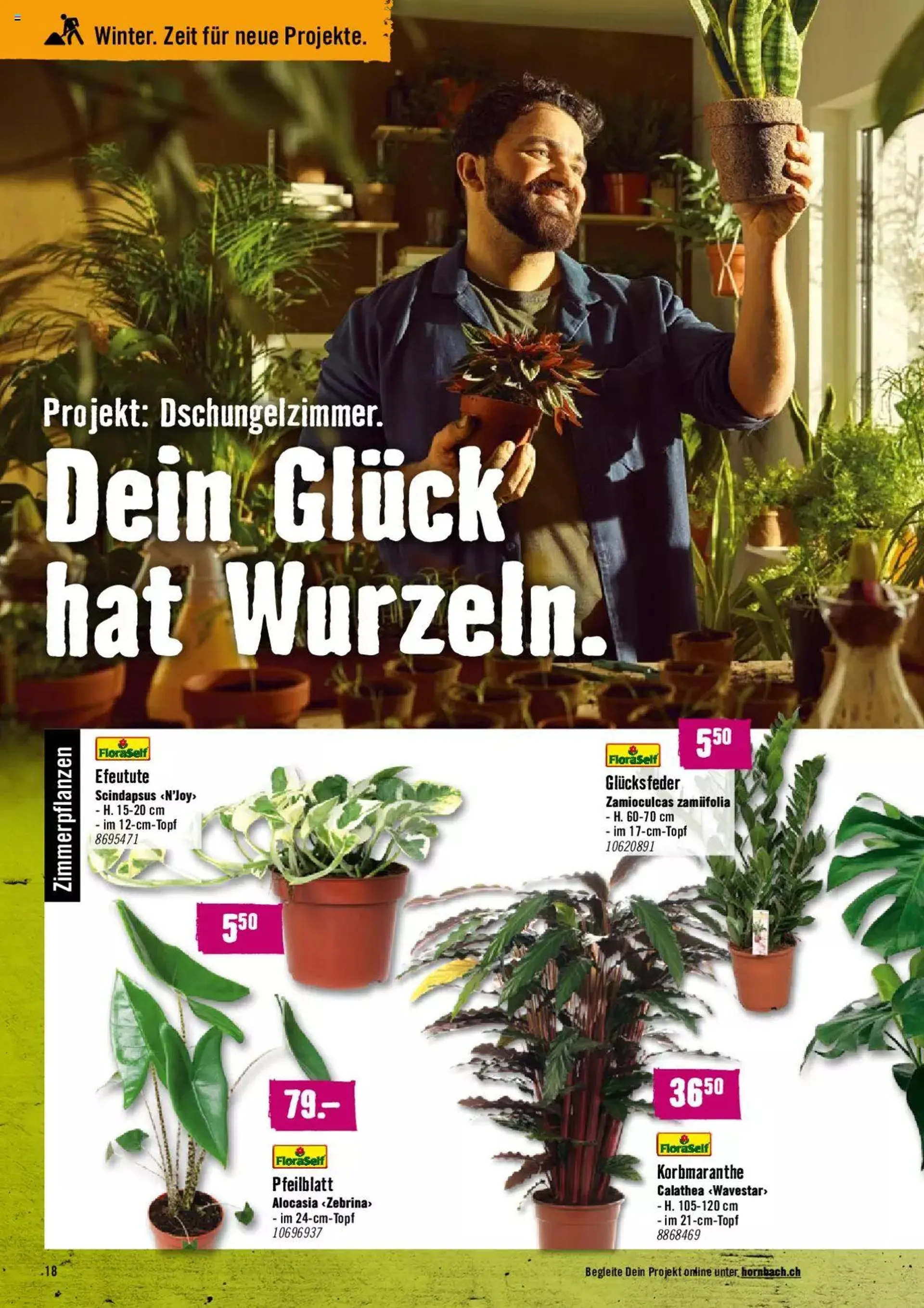 Hornbach Aktionen von 1. Februar bis 26. Februar 2024 - Prospekt seite  18