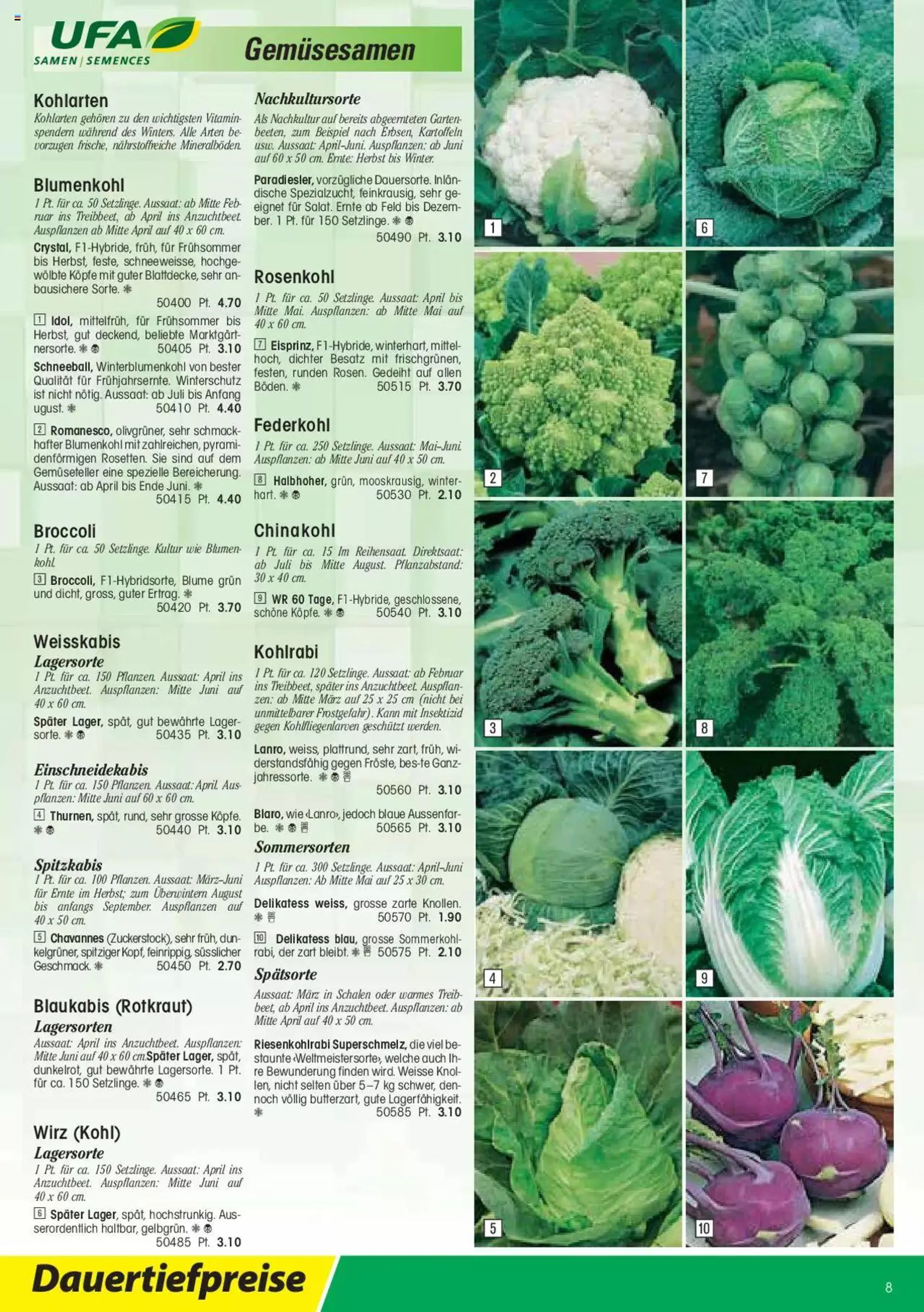 Landi - Gartensamen 2022 von 12. Januar bis 31. Dezember 2023 - Prospekt seite  8
