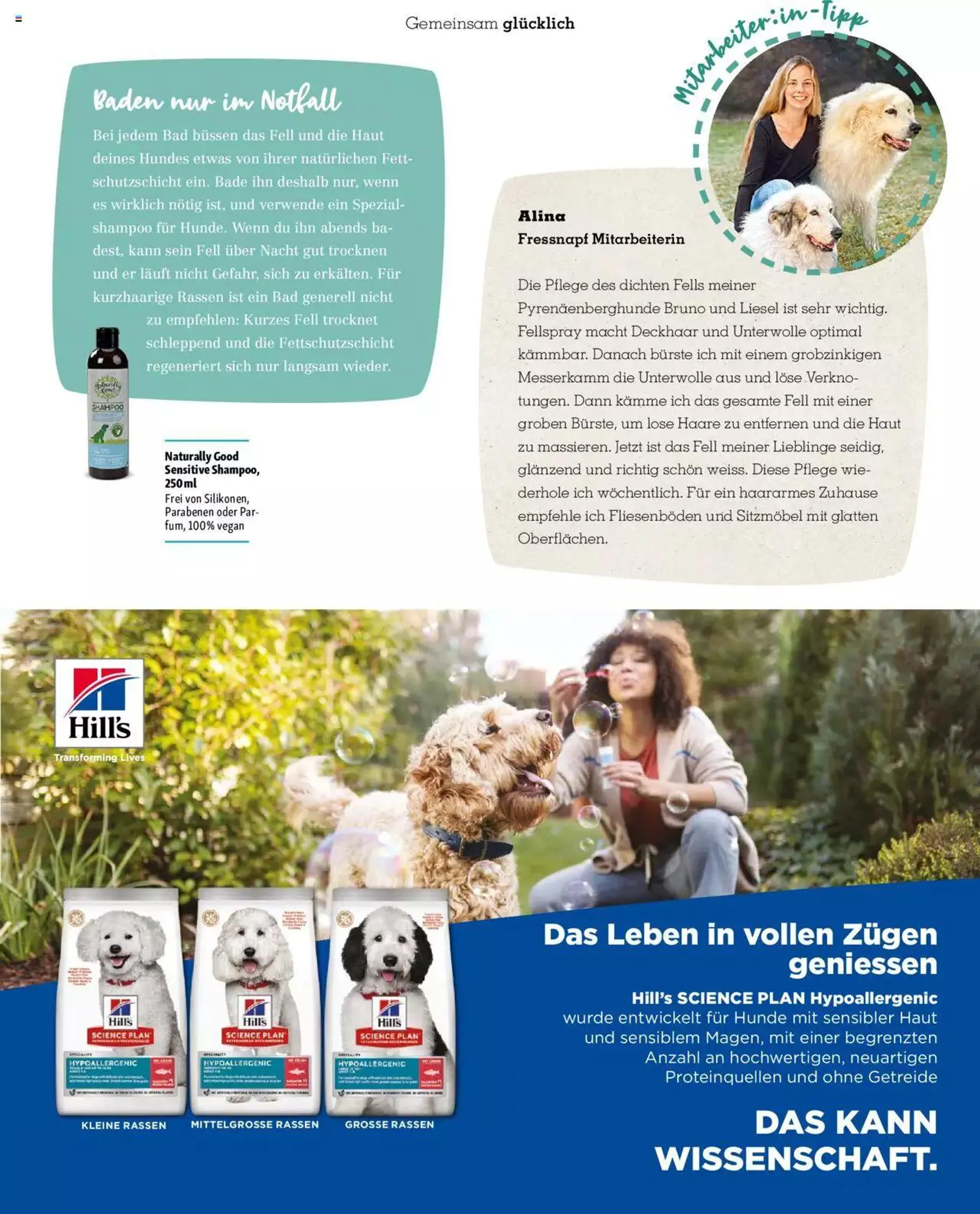 Fressnapf Magazin von 1. November bis 31. Dezember 2023 - Prospekt seite  45