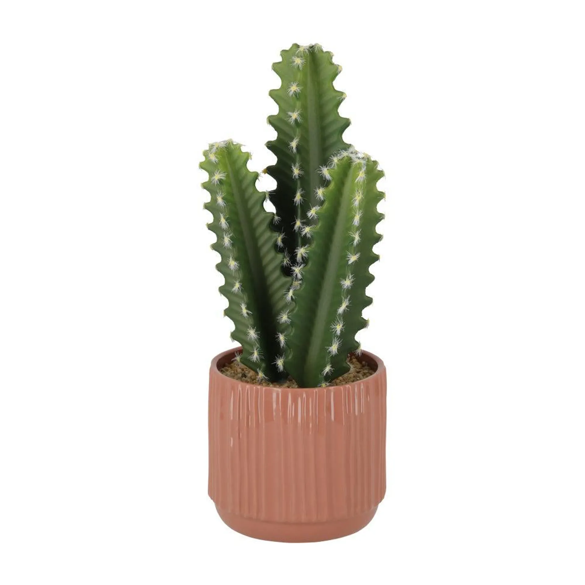 Maceta Cerámica Cactus Diseño Diámetro 10,5x27 cm