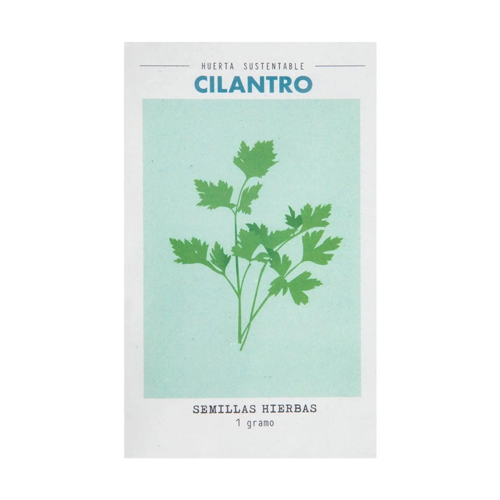 Semillas de hierbas cilantro