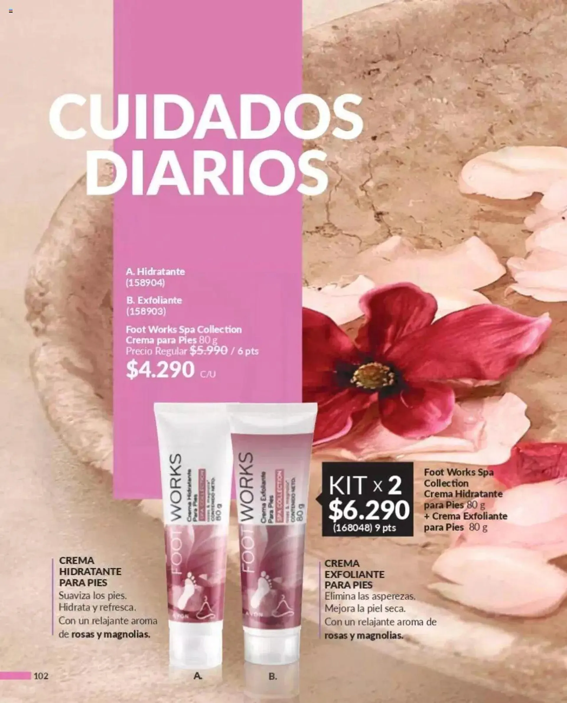 Catálogo Avon Campaña 12 - 99