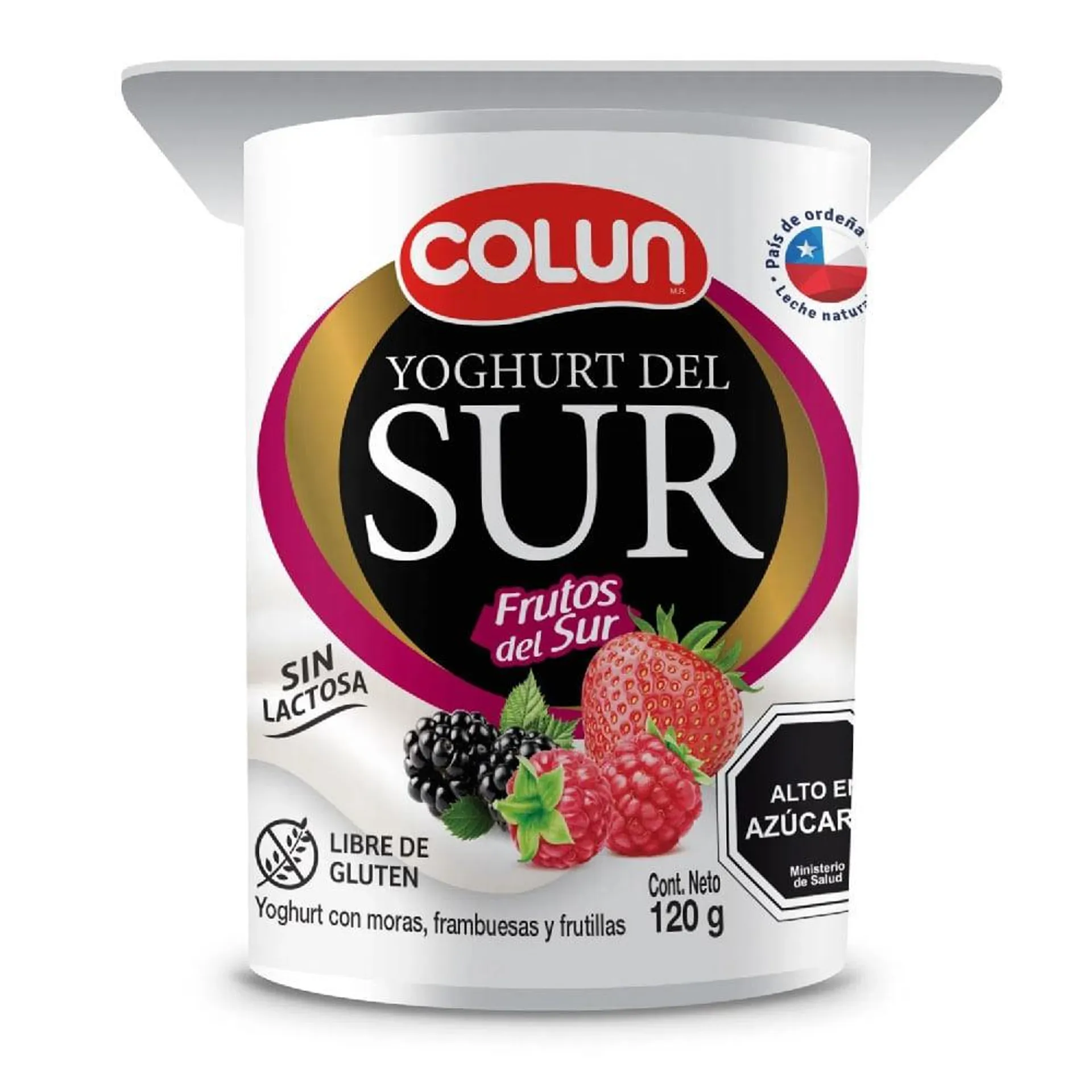 Yoghurt del sur frutos del sur