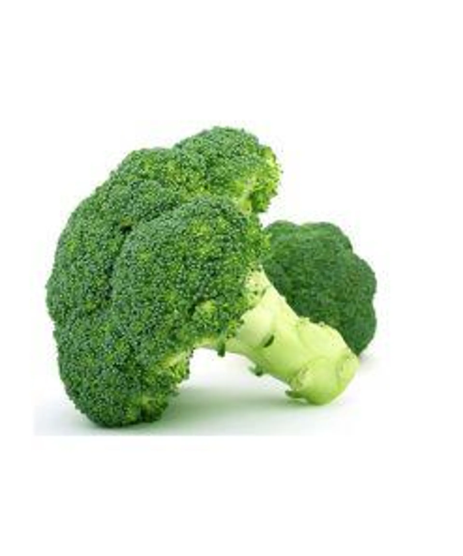 Brocoli Primera Unidad