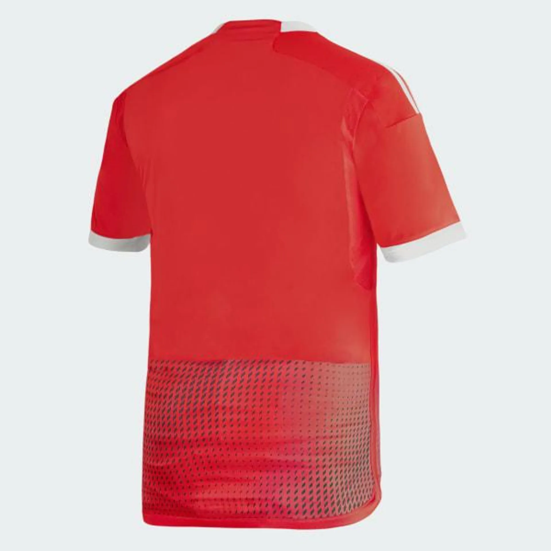 Camiseta Oficial de Visitante de la Selección Peruana 2023