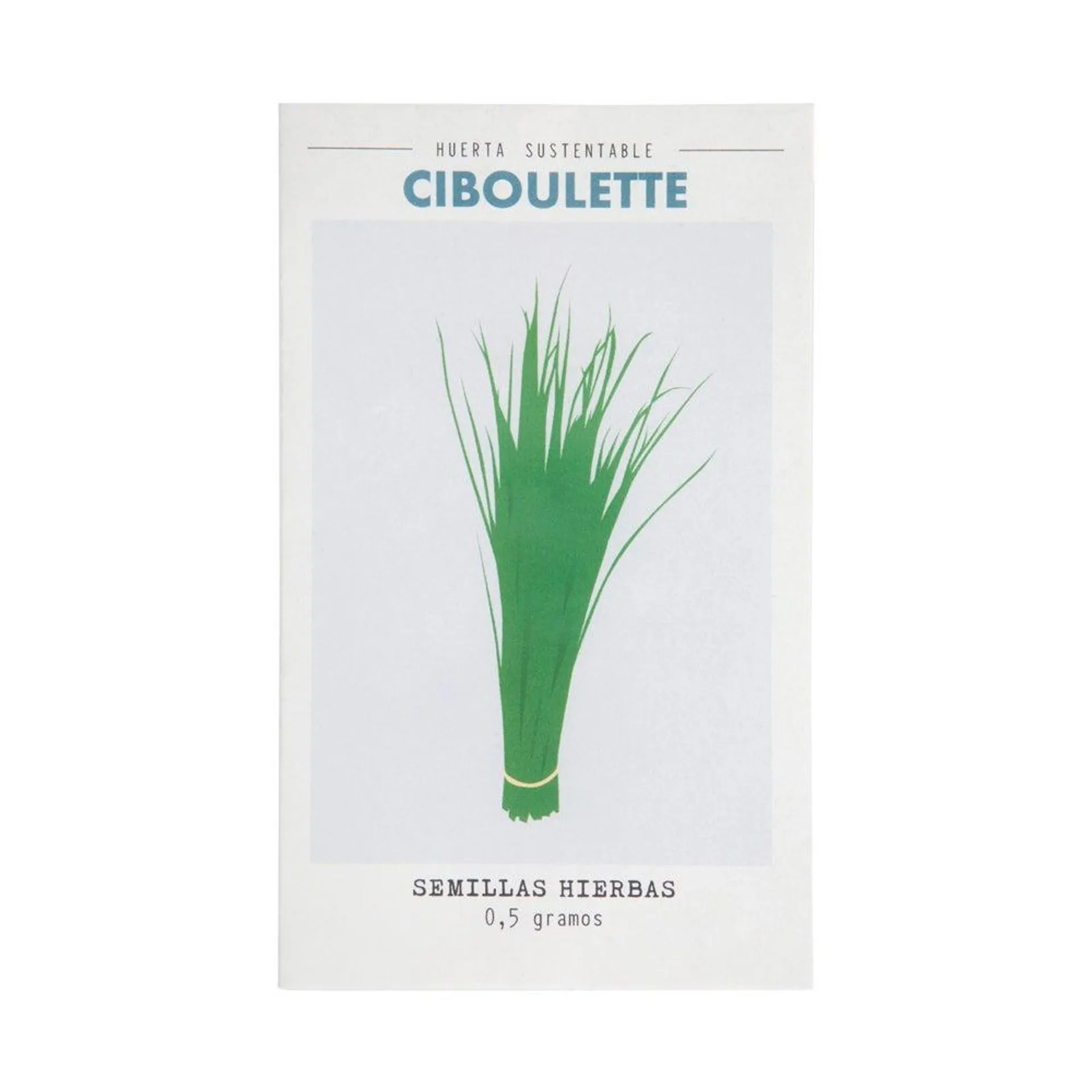 Semillas de hierbas ciboulette