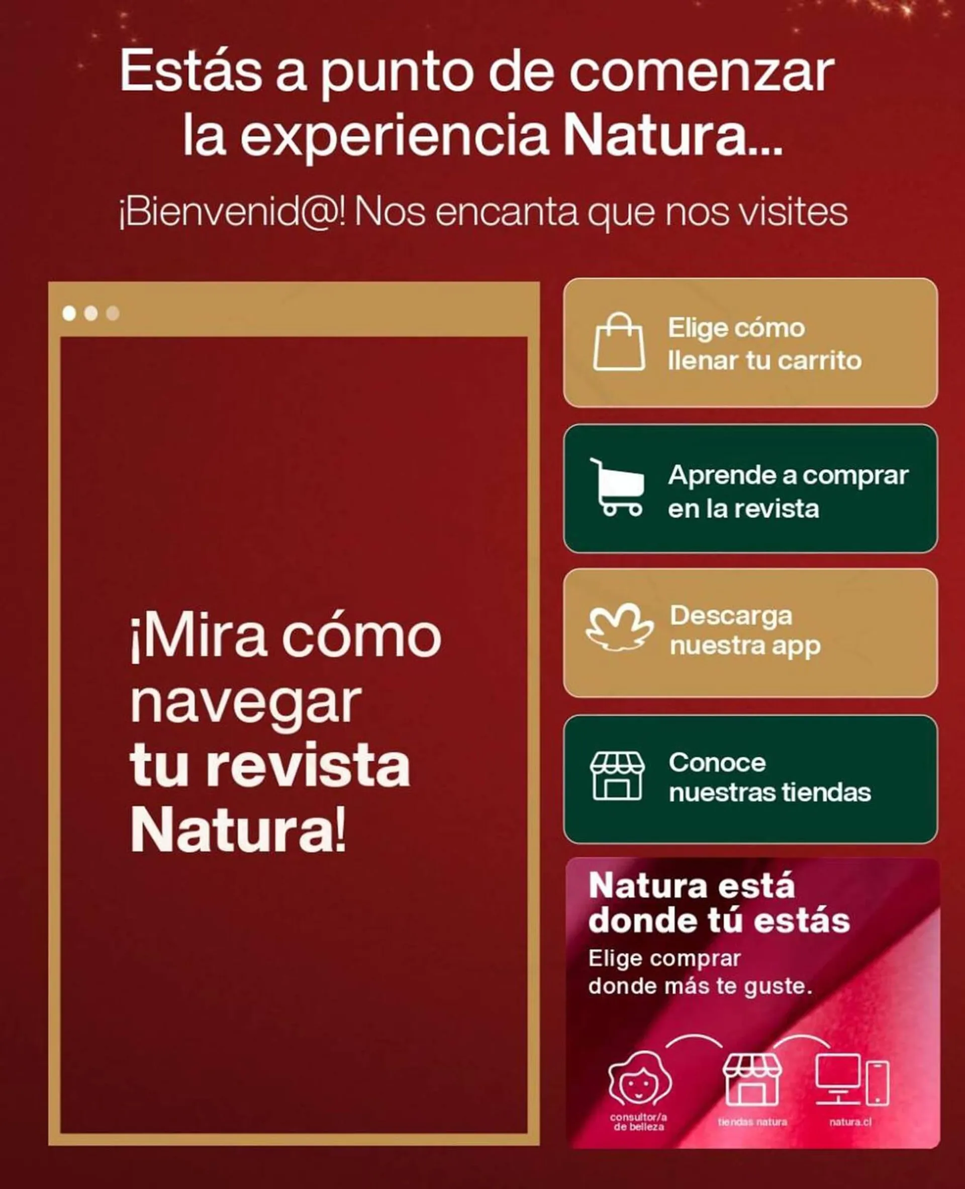 Catálogo de Catálogo Natura 16 de octubre al 30 de octubre 2024 - Página 2