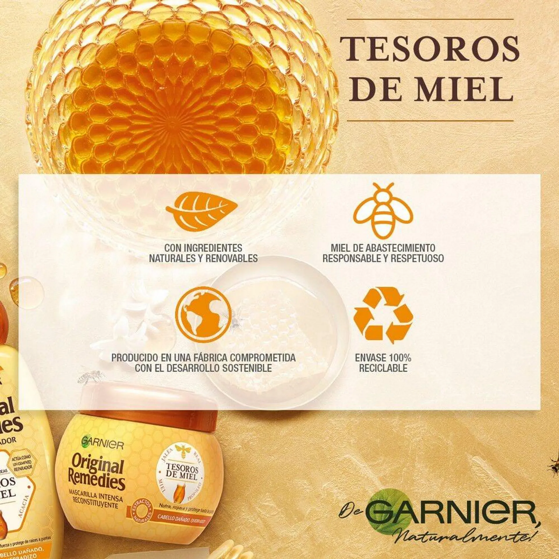 Shampoo Tesoros de Miel 300 ml