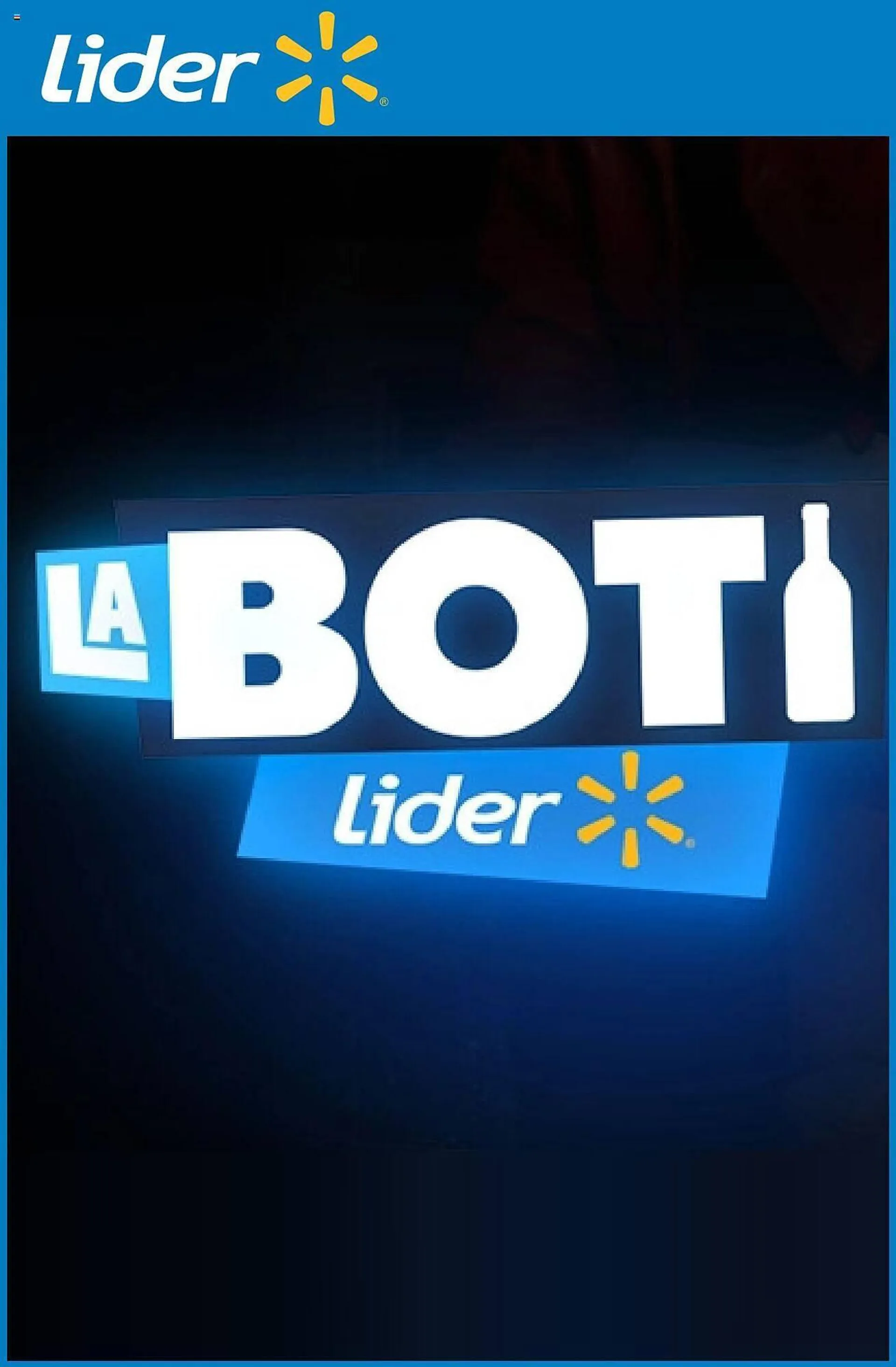 Catálogo Lider - 1