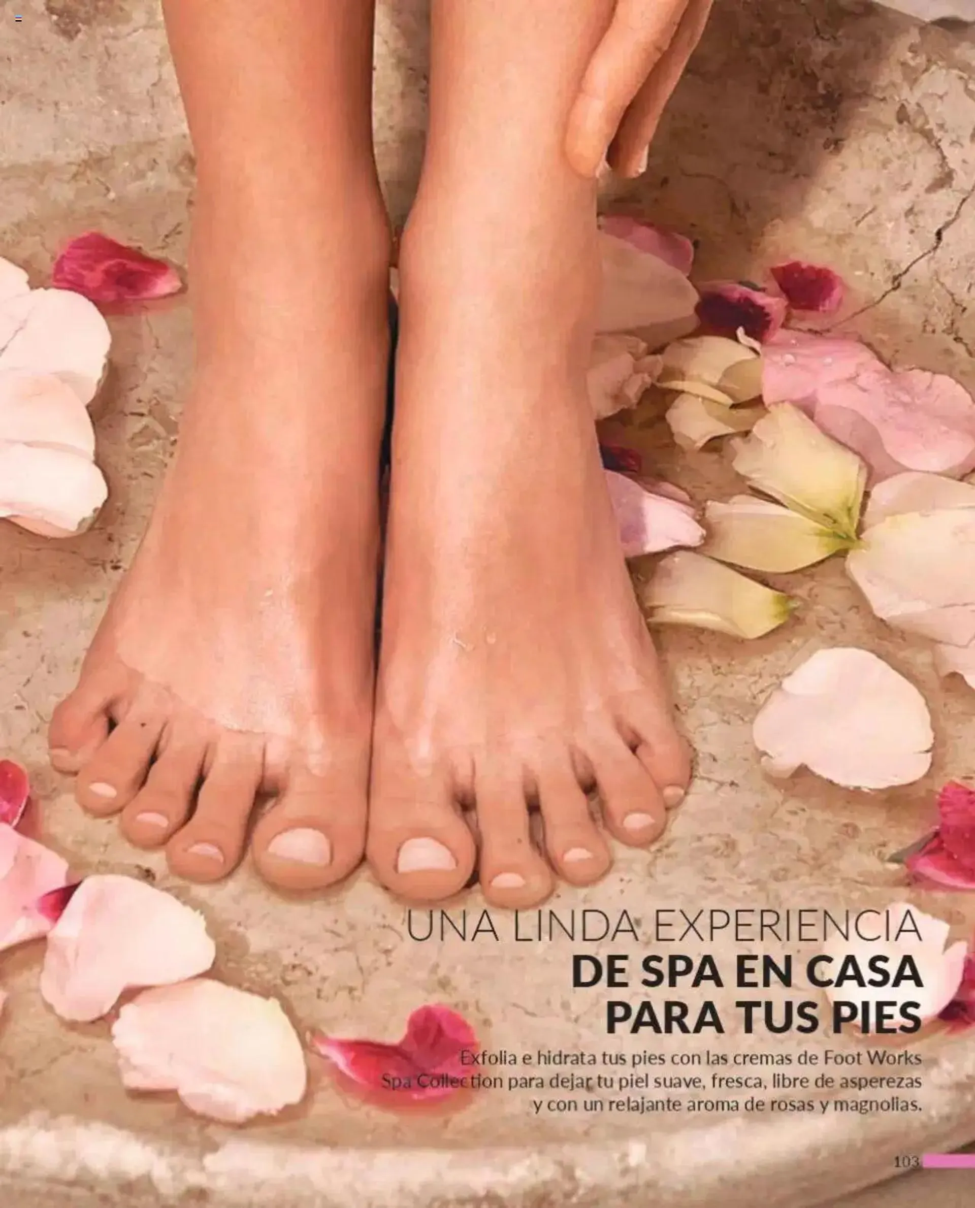 Catálogo Avon Campaña 12 - 100