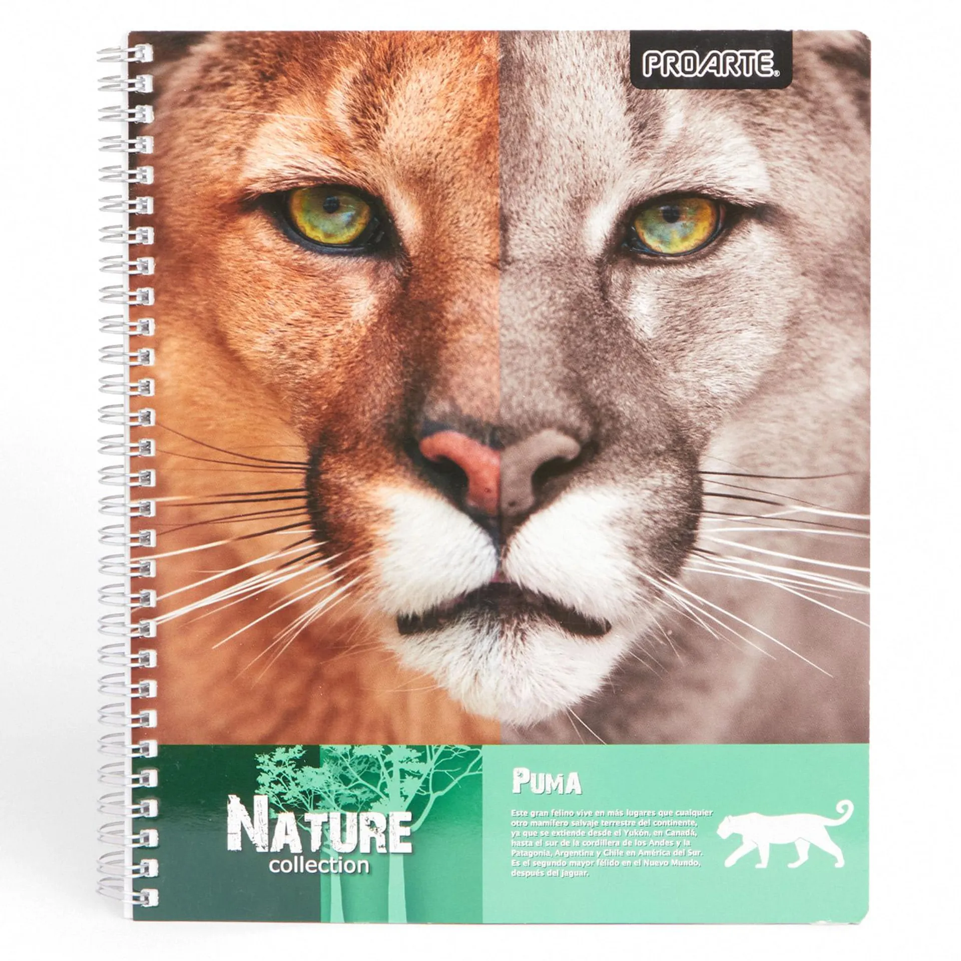 Cuaderno universitario Animales 100 hojas 7 mm (surtido)