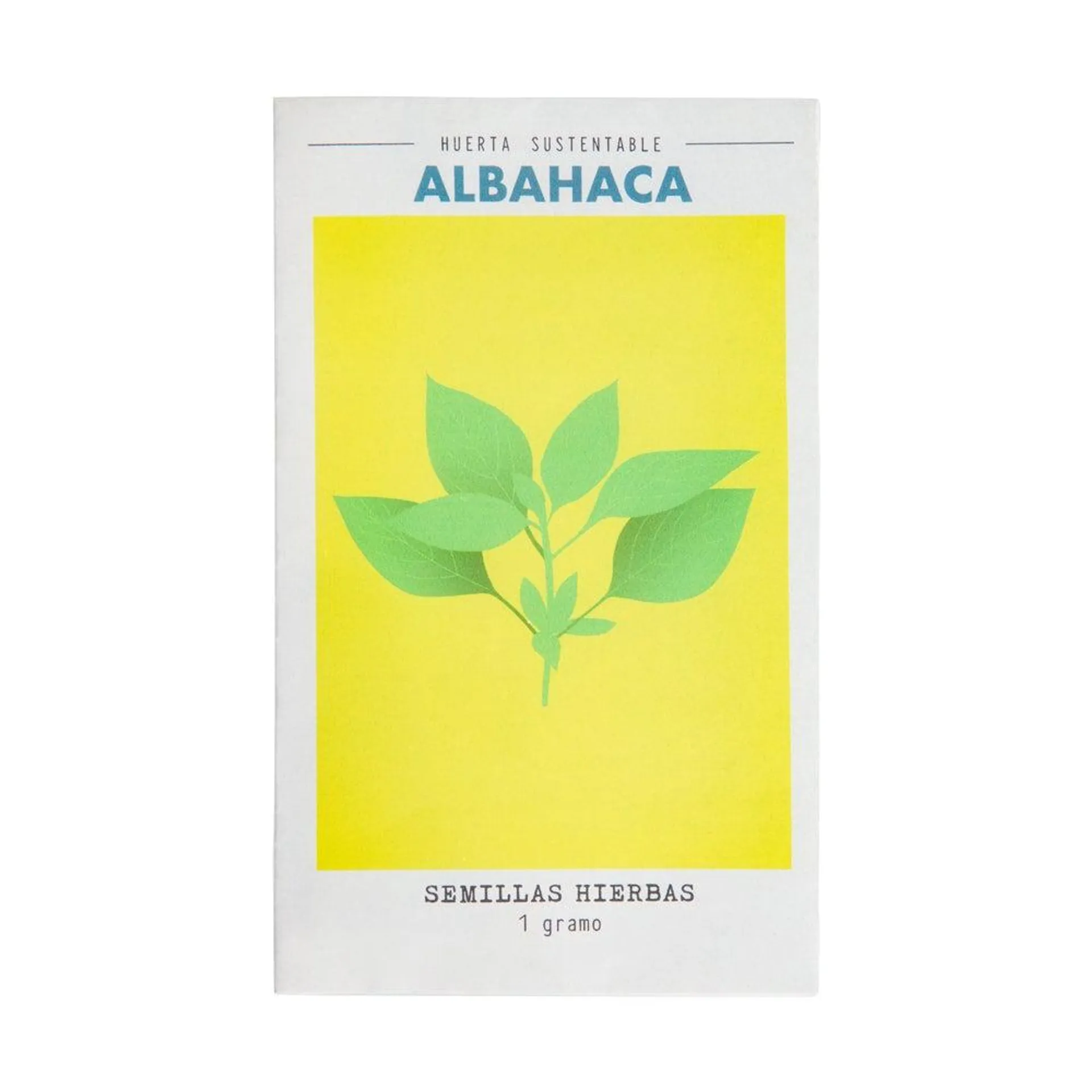 Semillas de hierbas albahaca