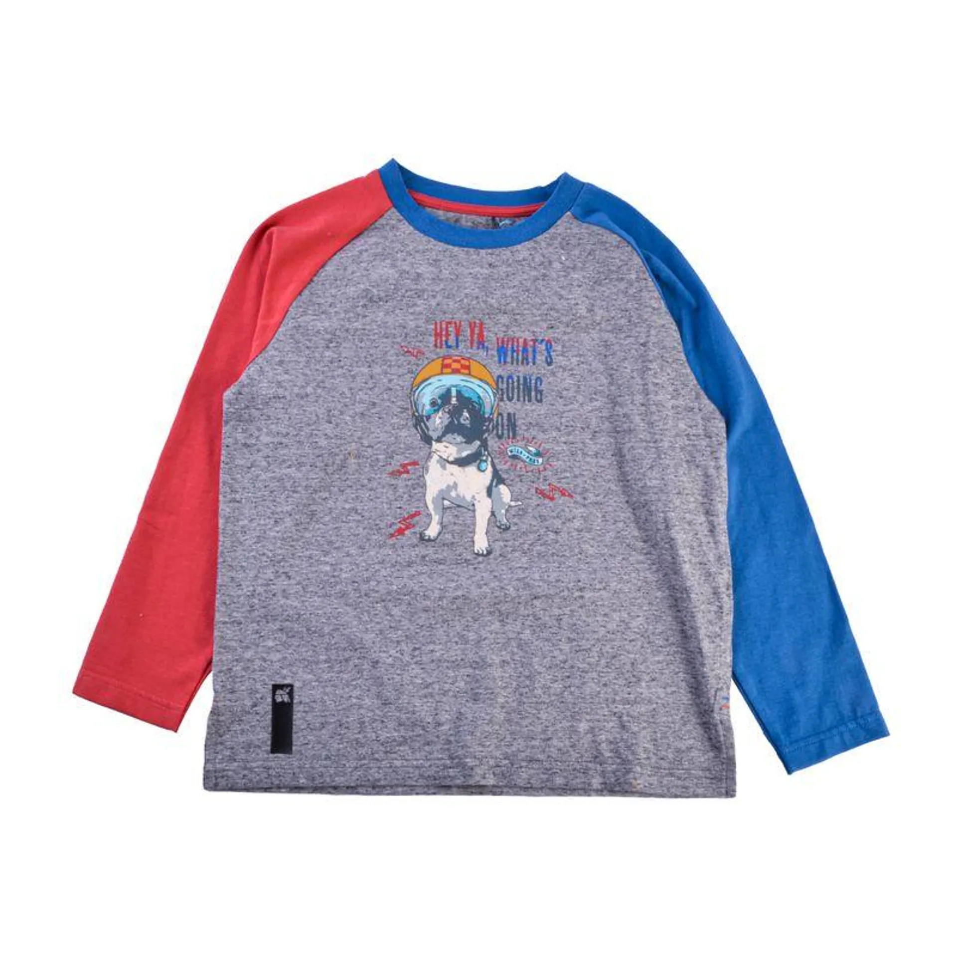 Polera Manga Larga Niño Gris