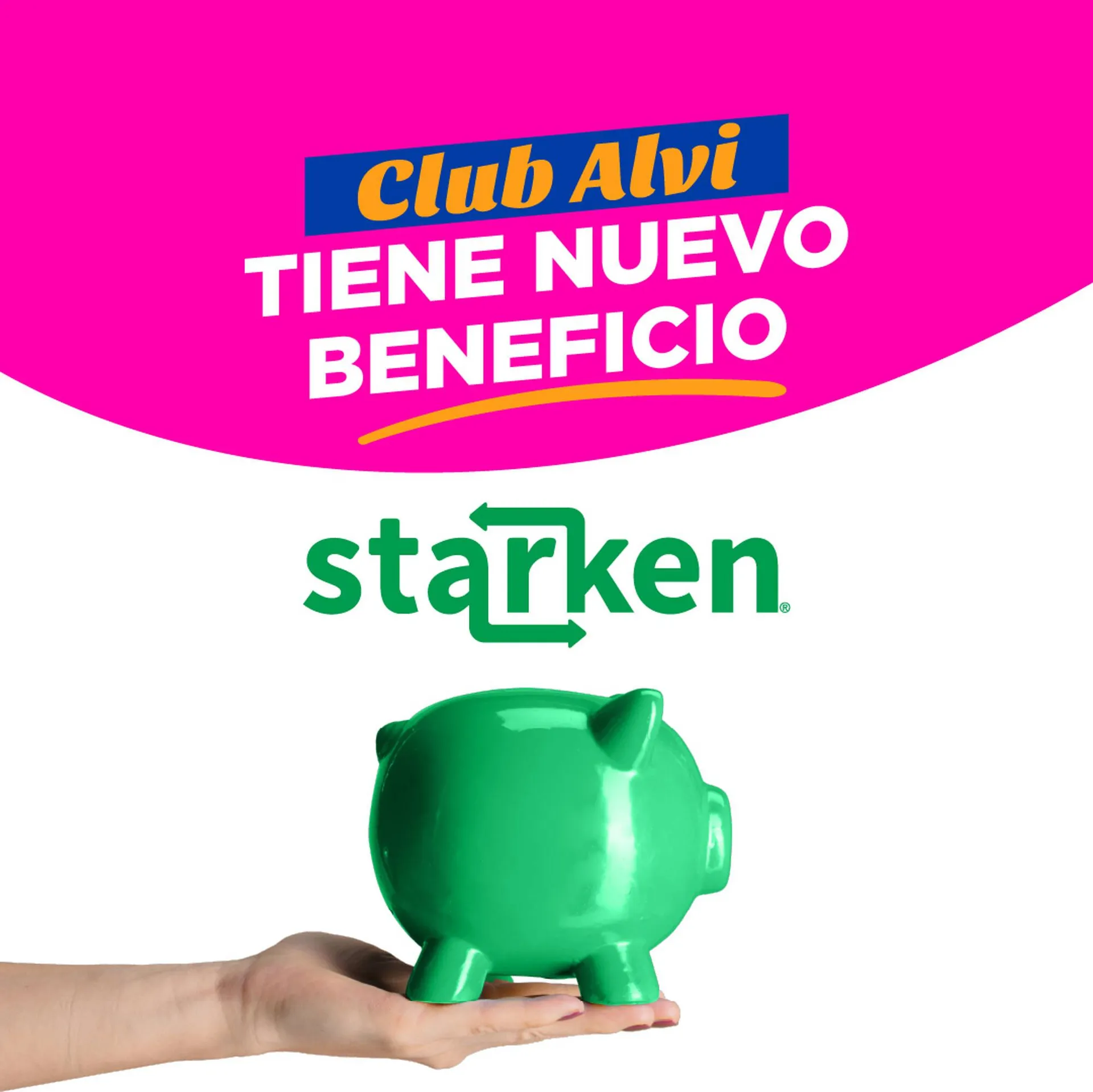 Catálogo Alvi - 1