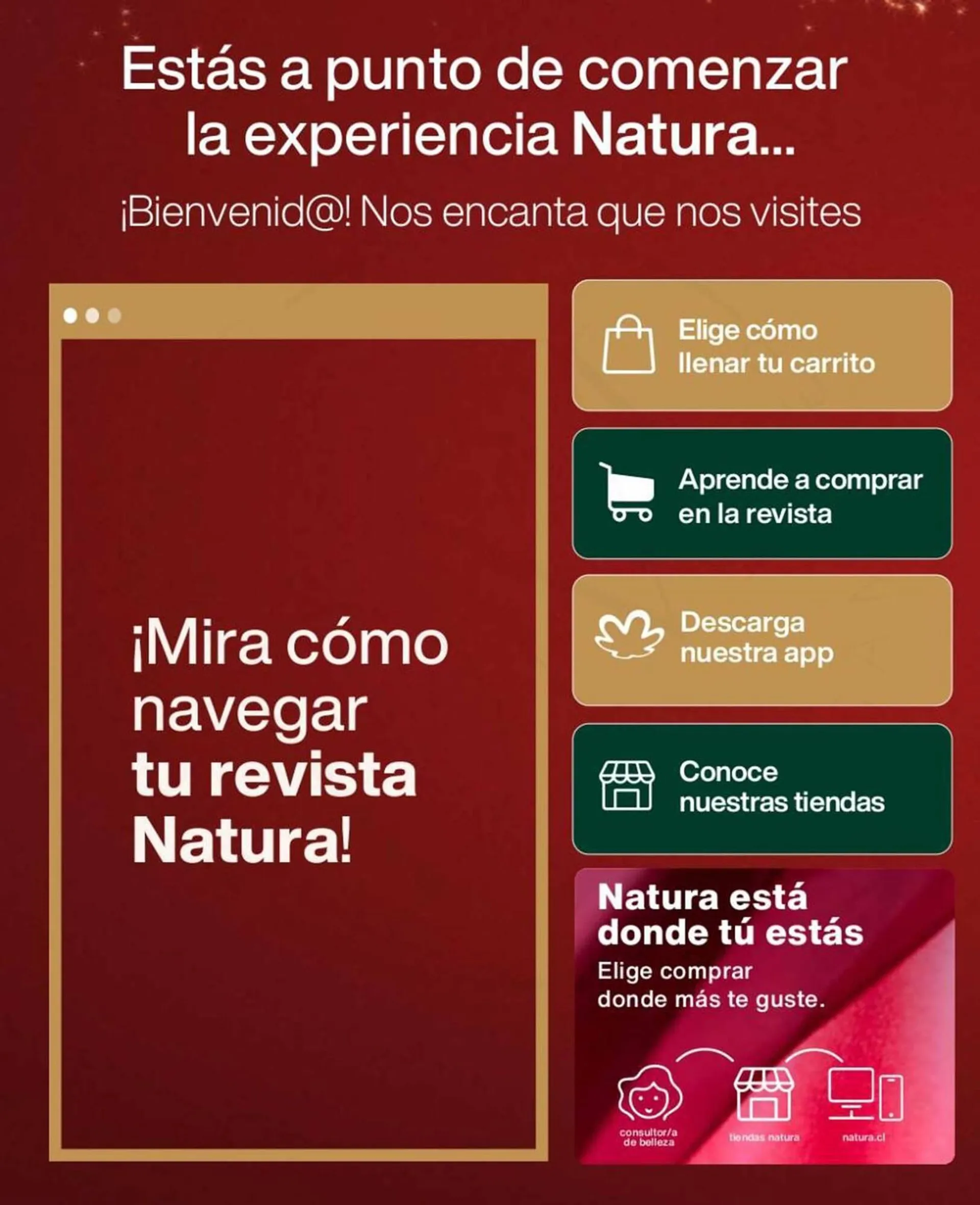 Catálogo de Catálogo Natura 24 de octubre al 7 de noviembre 2024 - Página 2