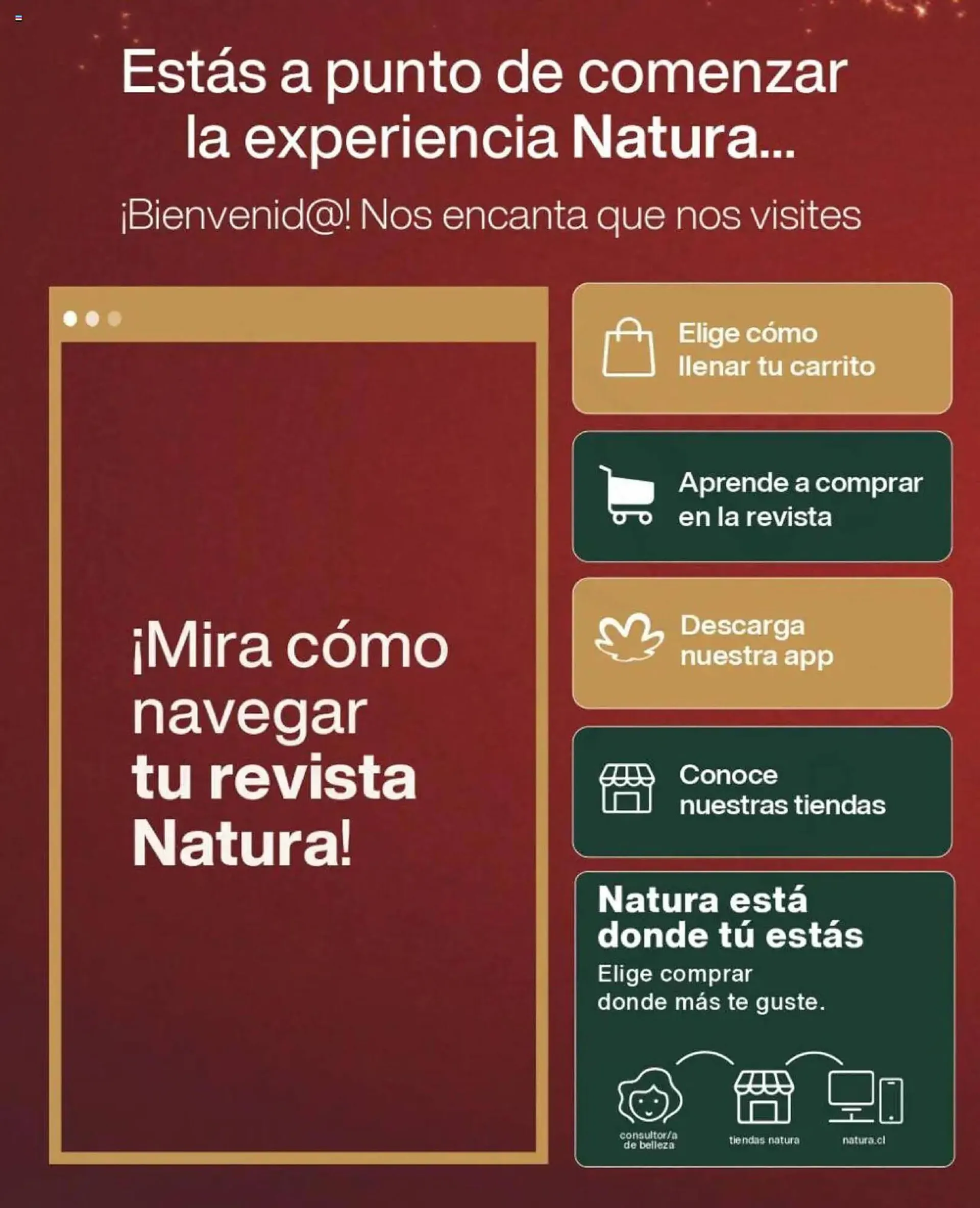 Catálogo de Catálogo Natura 1 de diciembre al 31 de diciembre 2024 - Página 2