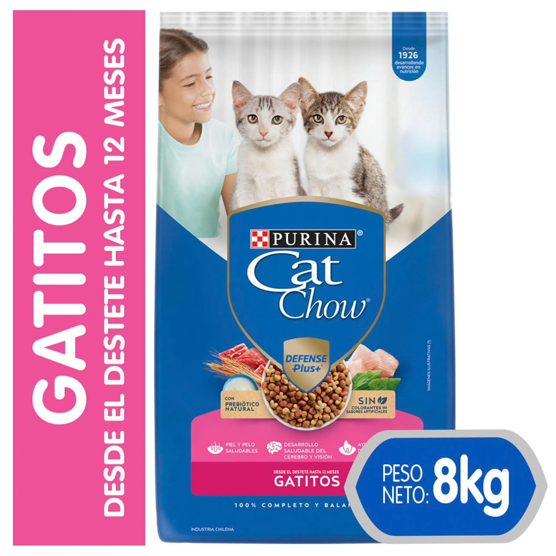 Alimento gatito 8 kg