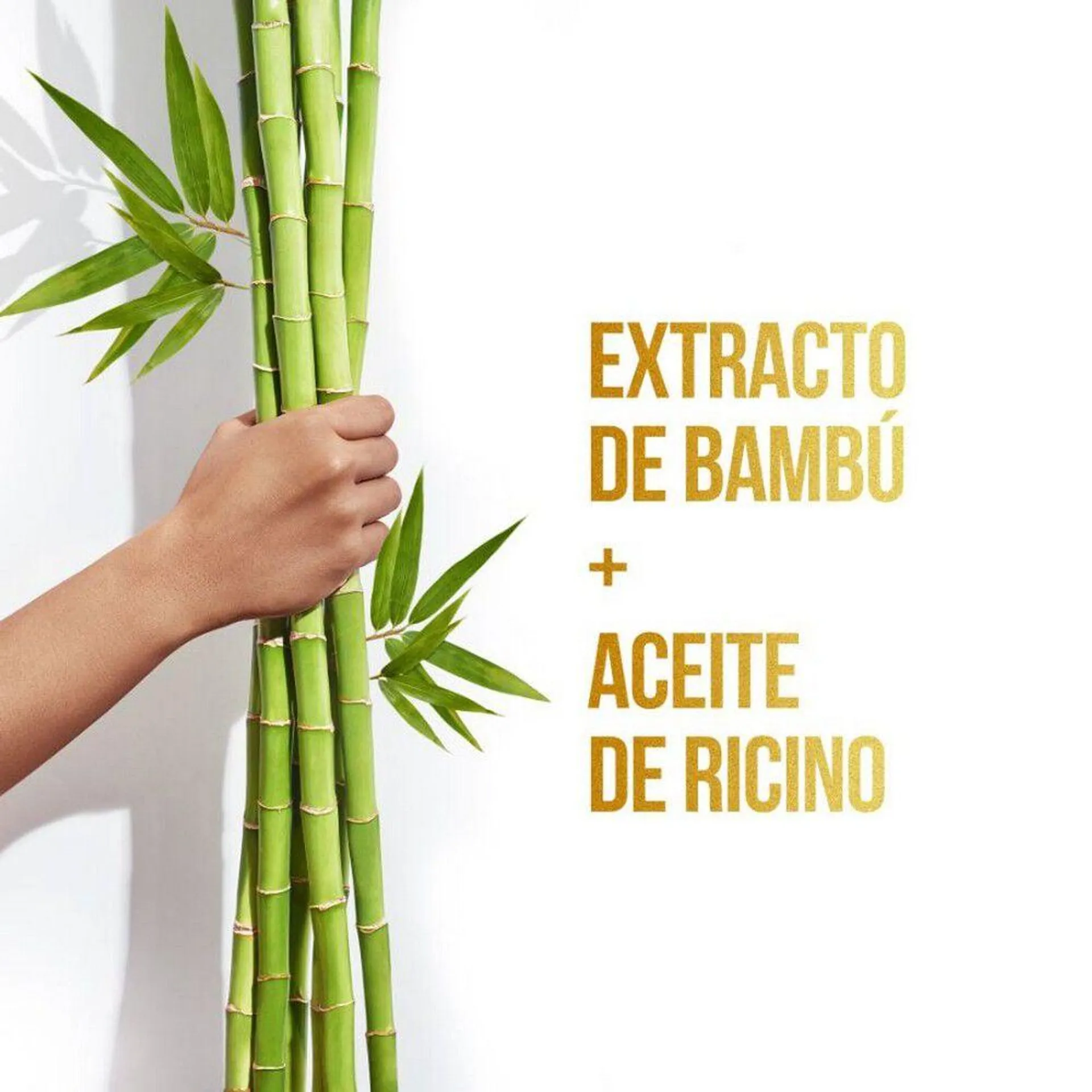 Shampoo Control Caída Bambú Nutre y Crece 400 mL