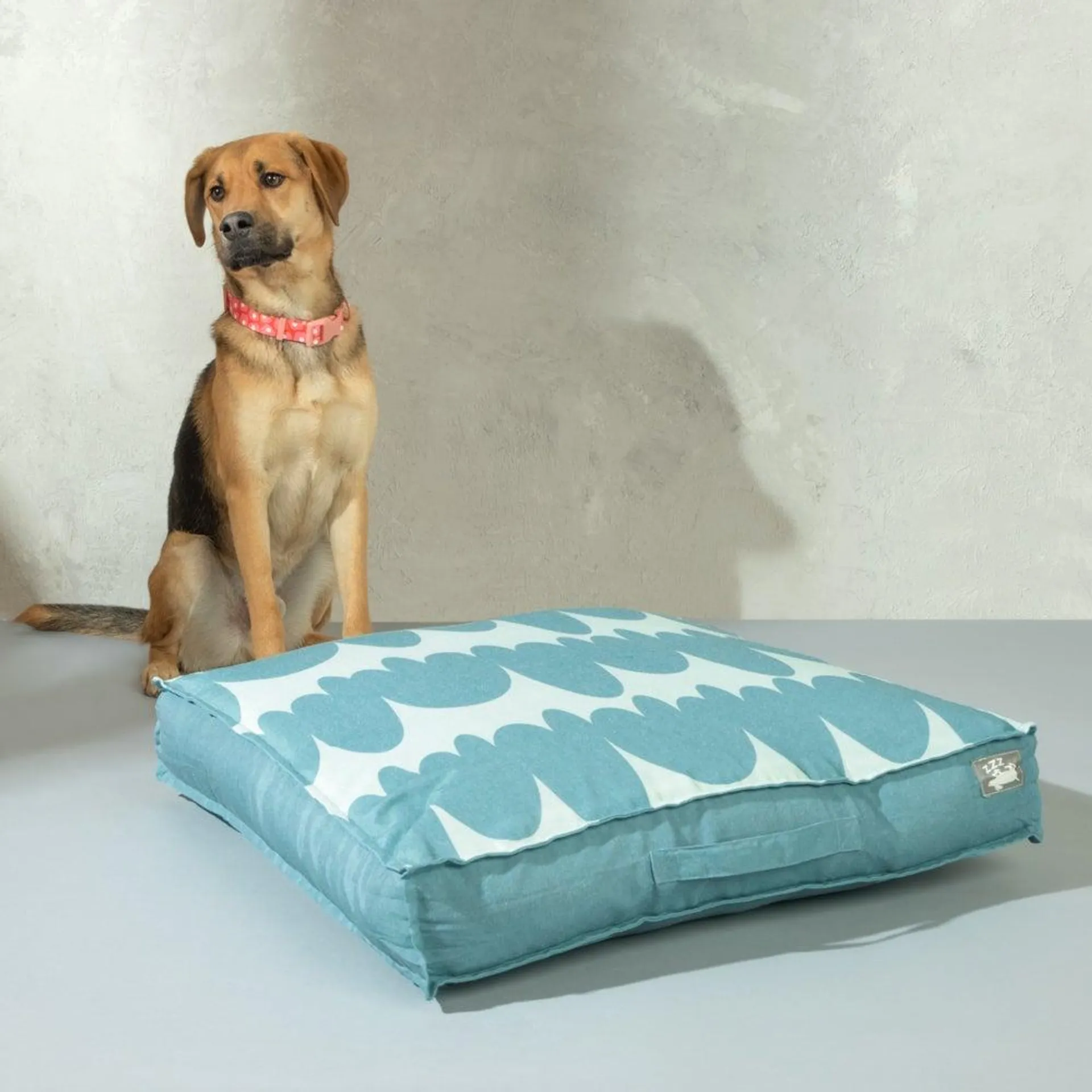 Cojín cama con estampado para perros 70x70x12 cm