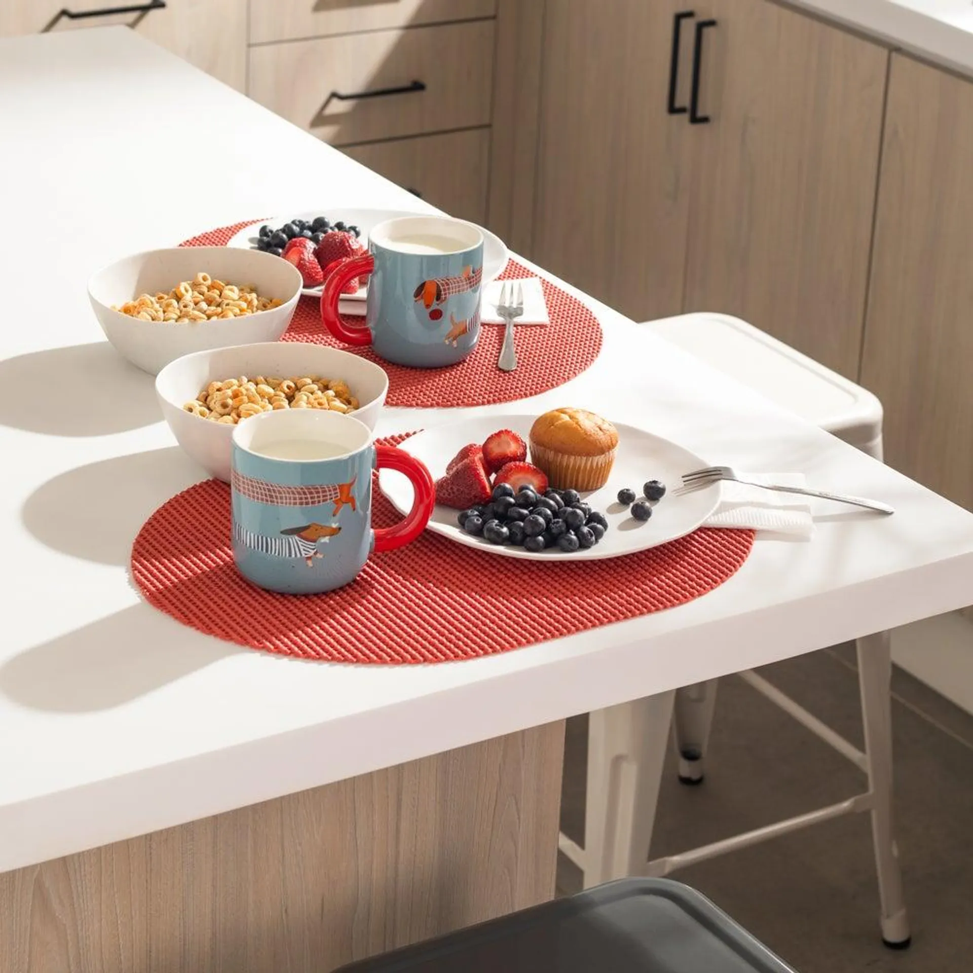 Set 4 individuales PVC waffle 43x30 cm