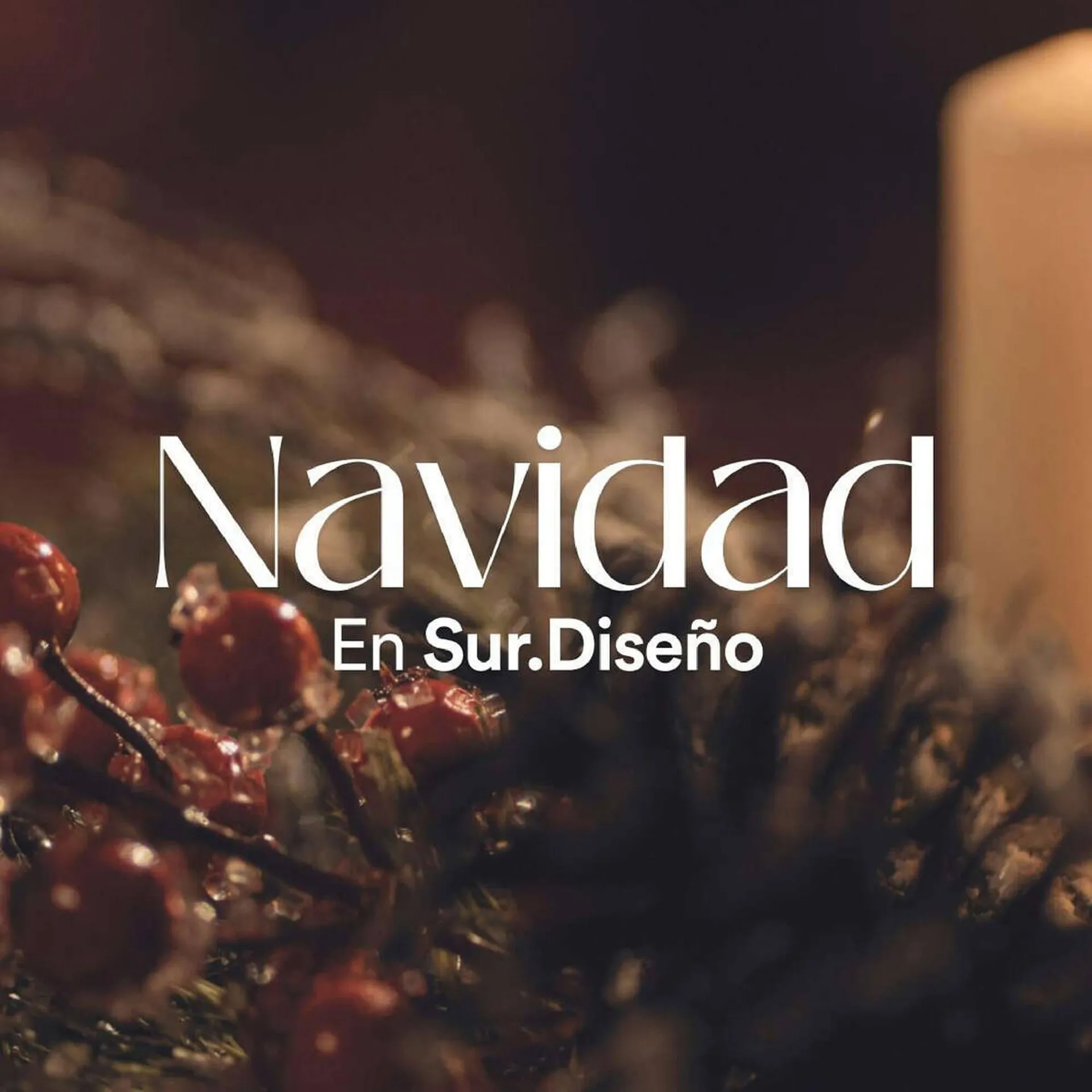 Catálogo Sur.Diseño