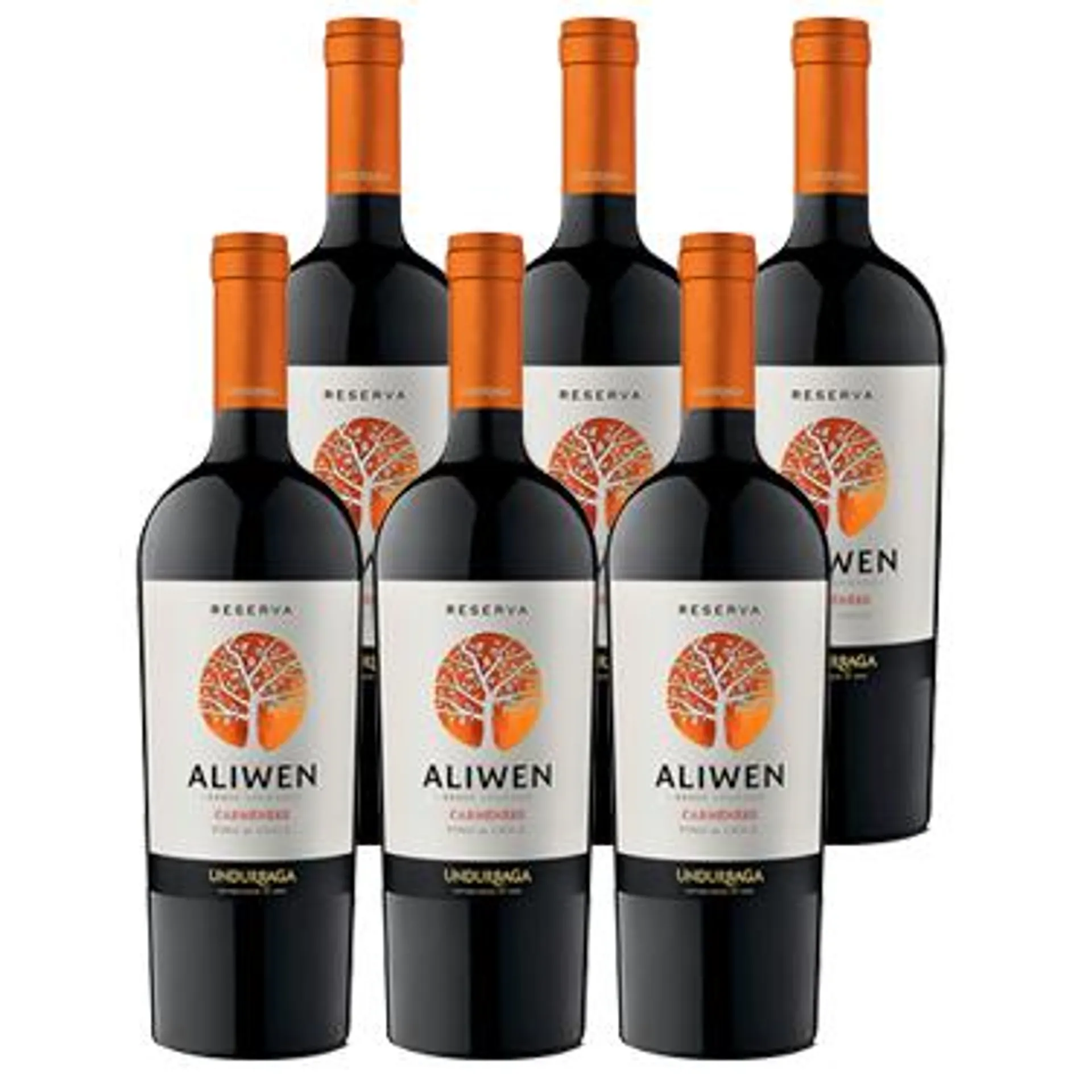 Vino Aliwen Carmenere Botella 750cc x6