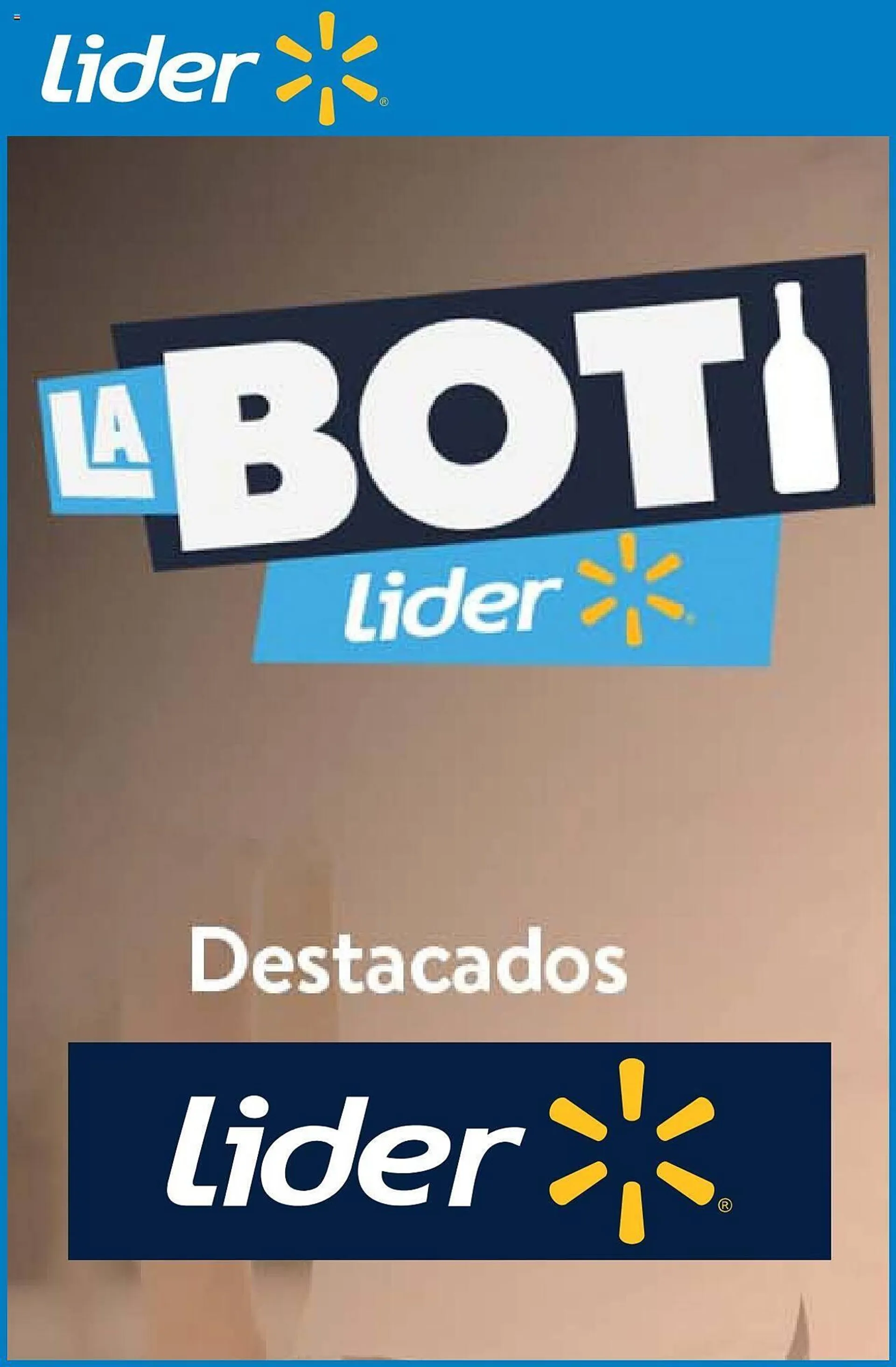 Catálogo Lider - 1