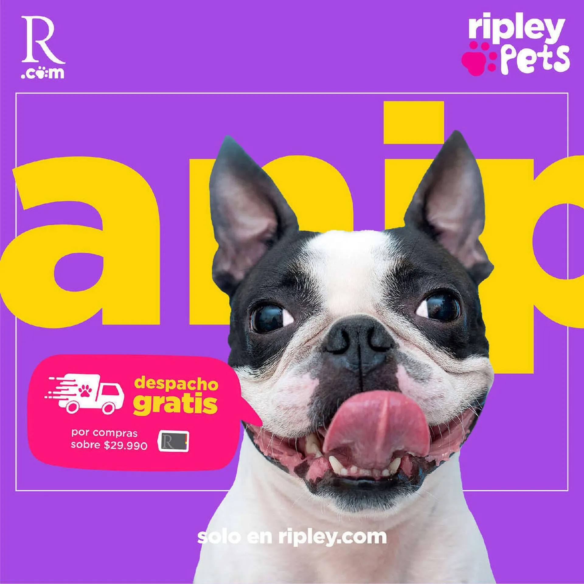 Catálogo Ripley - 2