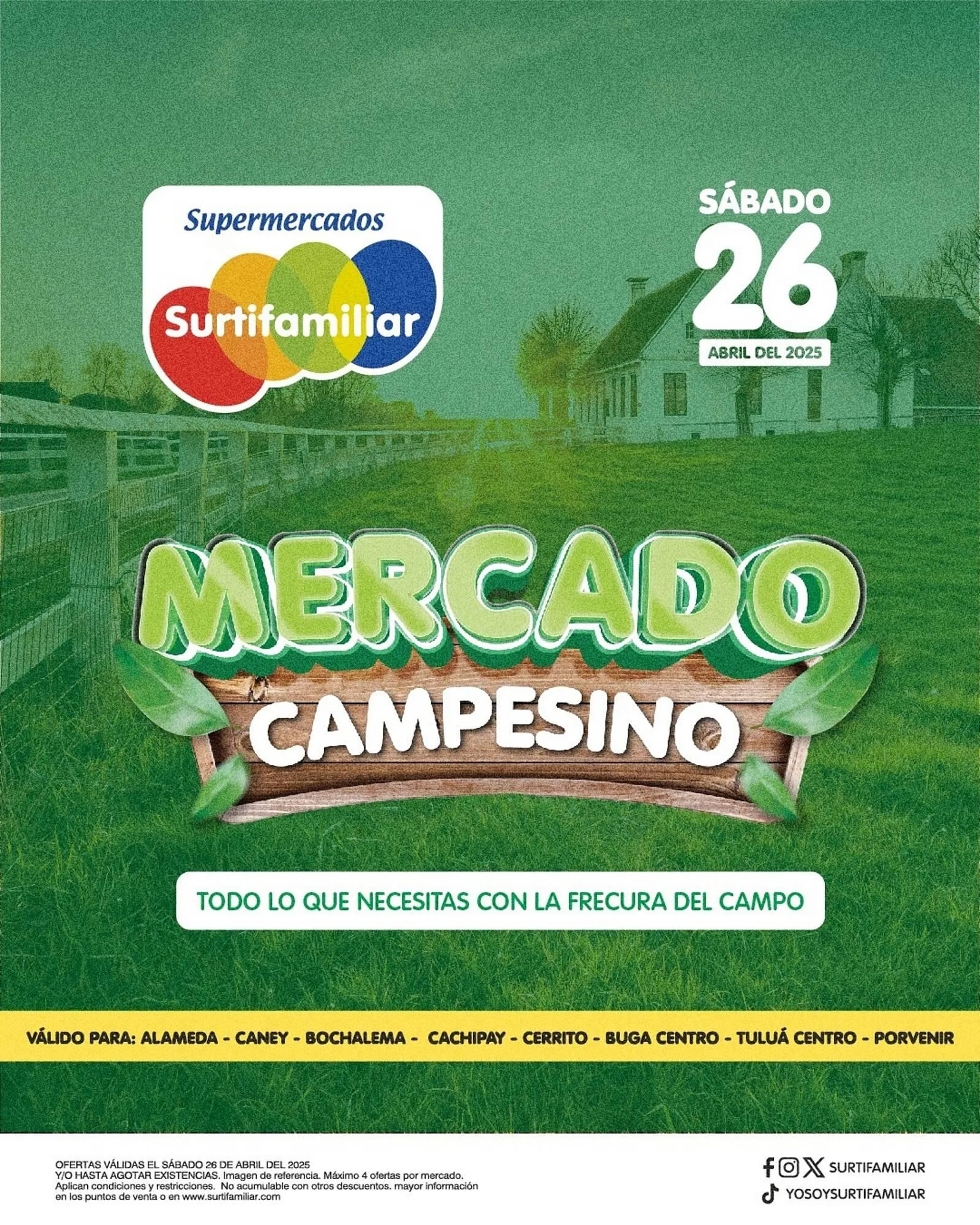Catálogo Surtifamiliar - 1