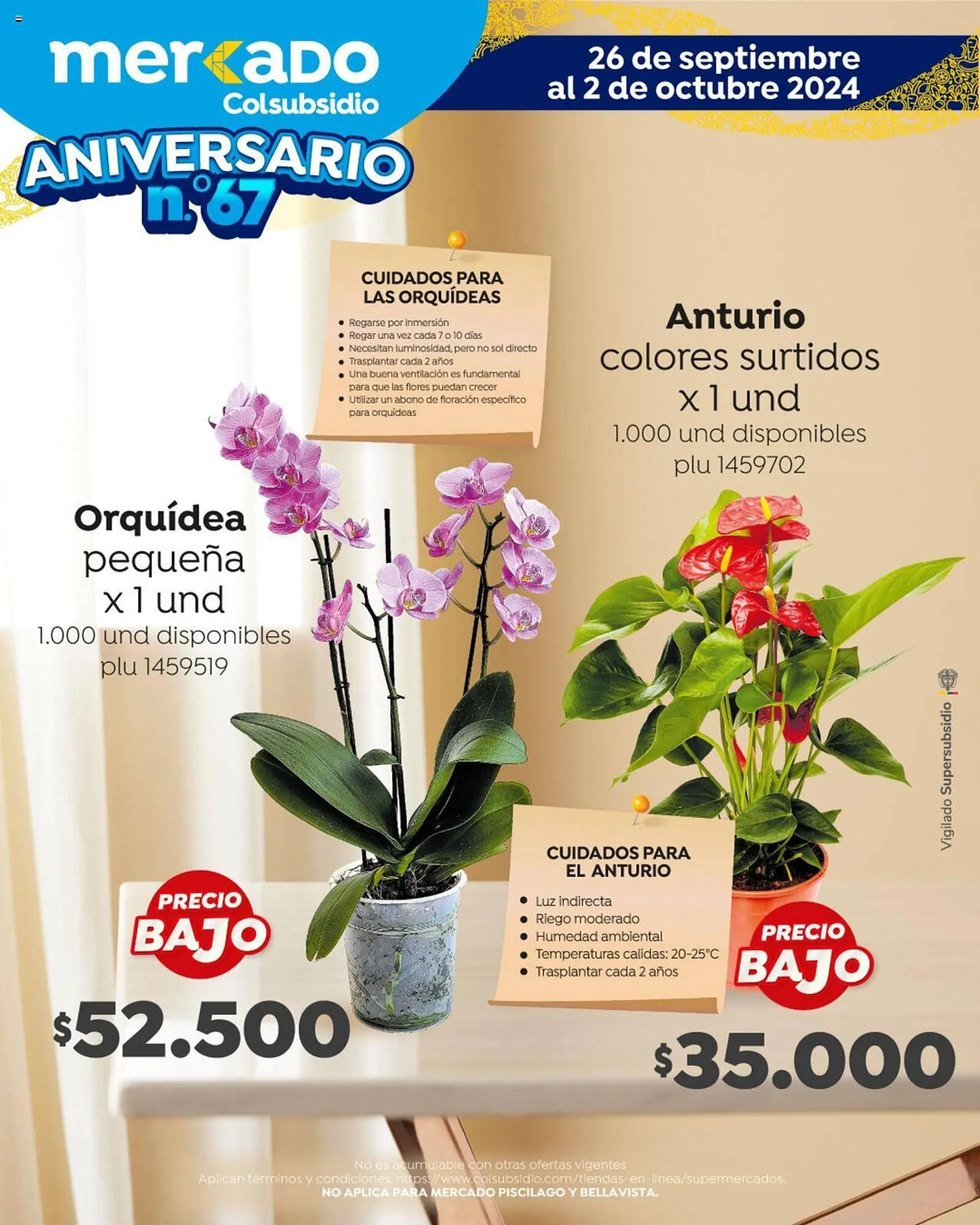 Catalogo de Catálogo Colsubsidio 26 de septiembre al 3 de octubre 2024 - Pag 13