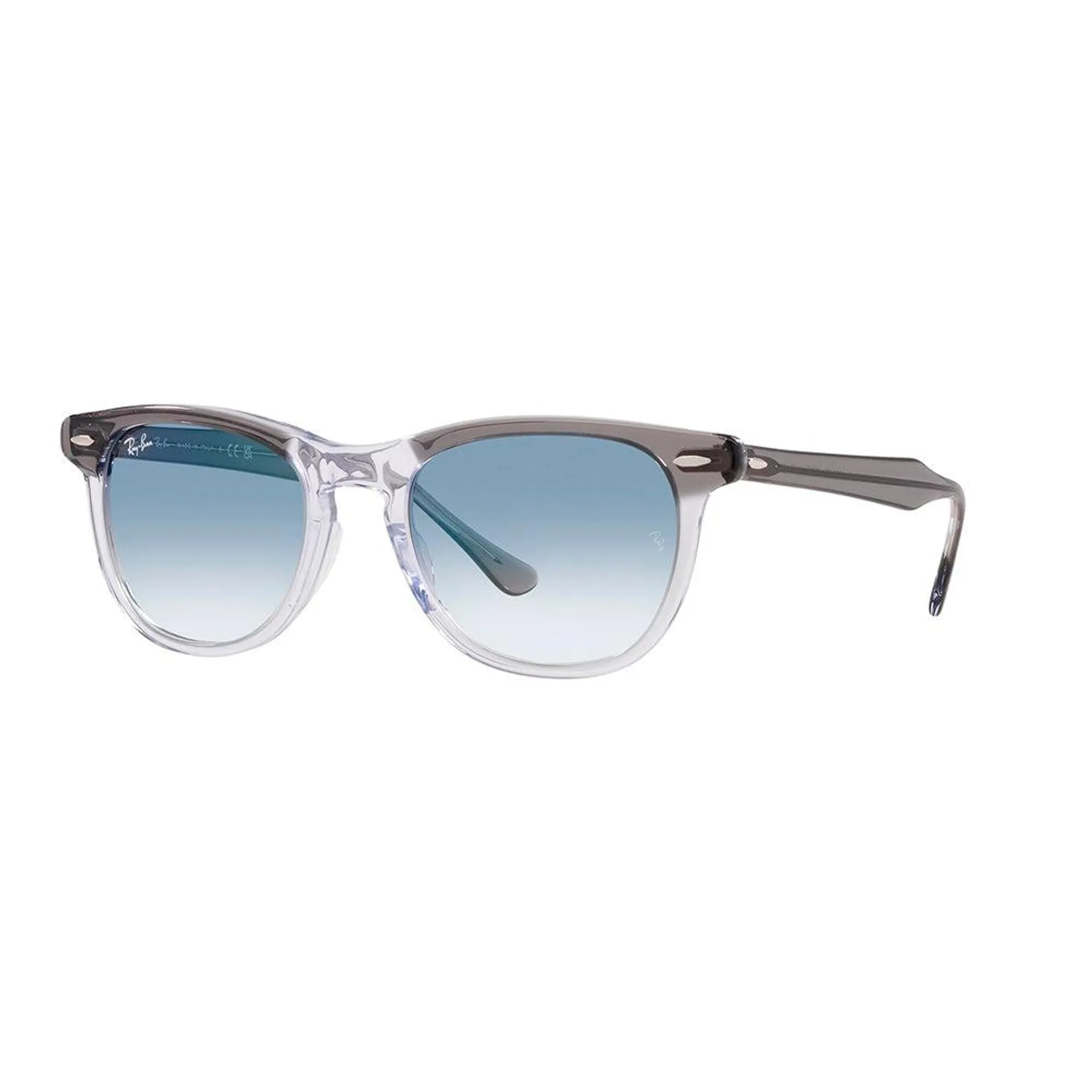 Ray-Ban 2398 Eagleeye 13553F