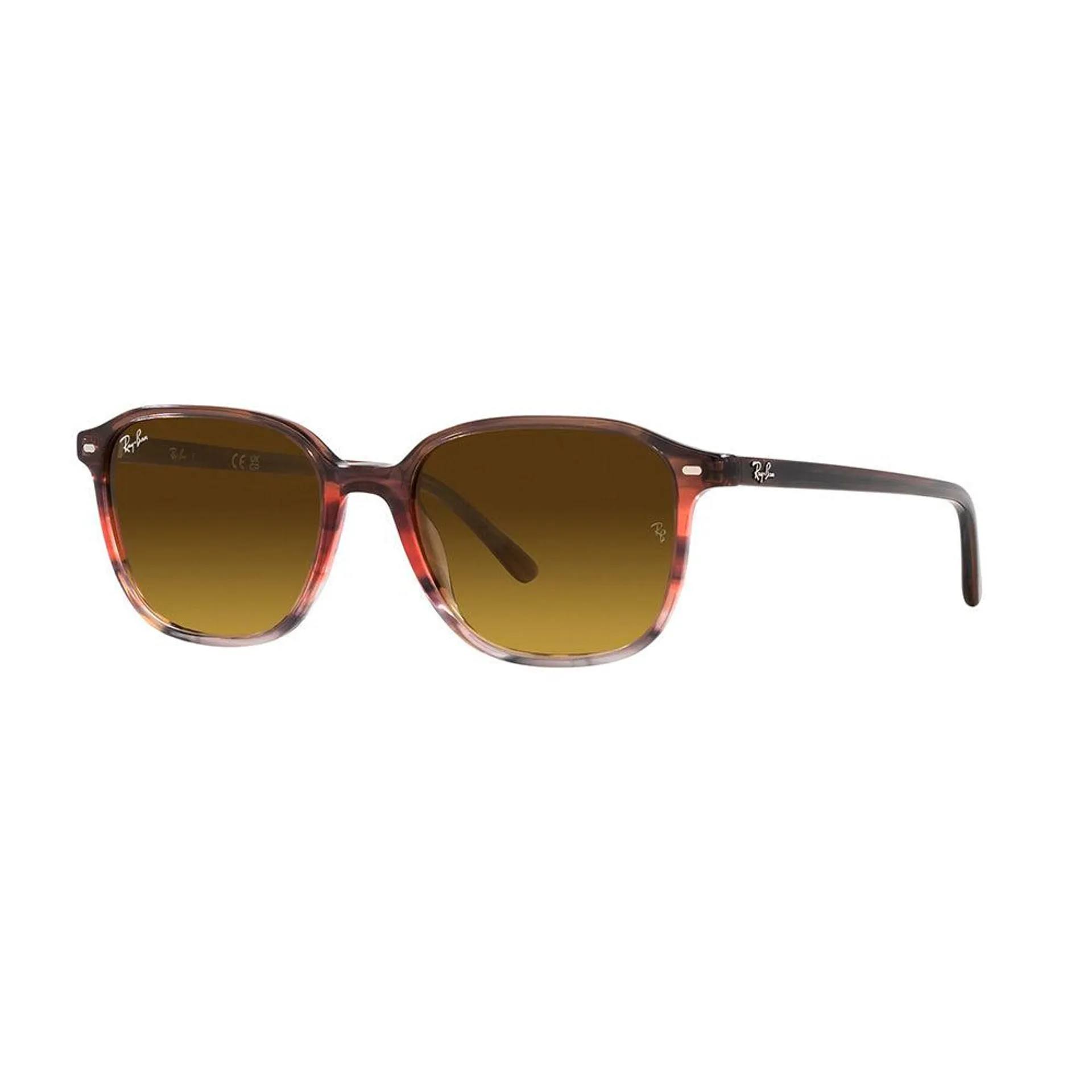 Ray-Ban 2193 Leonard 138085