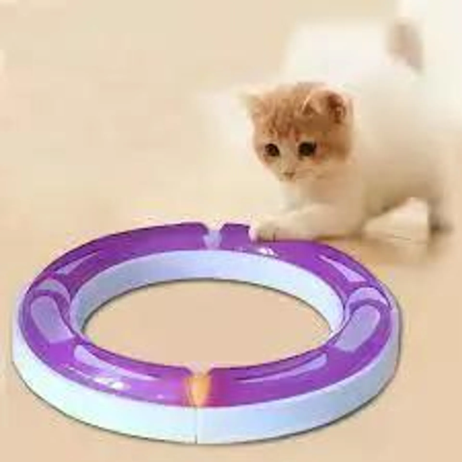 Juguete Interactivo Para Gato