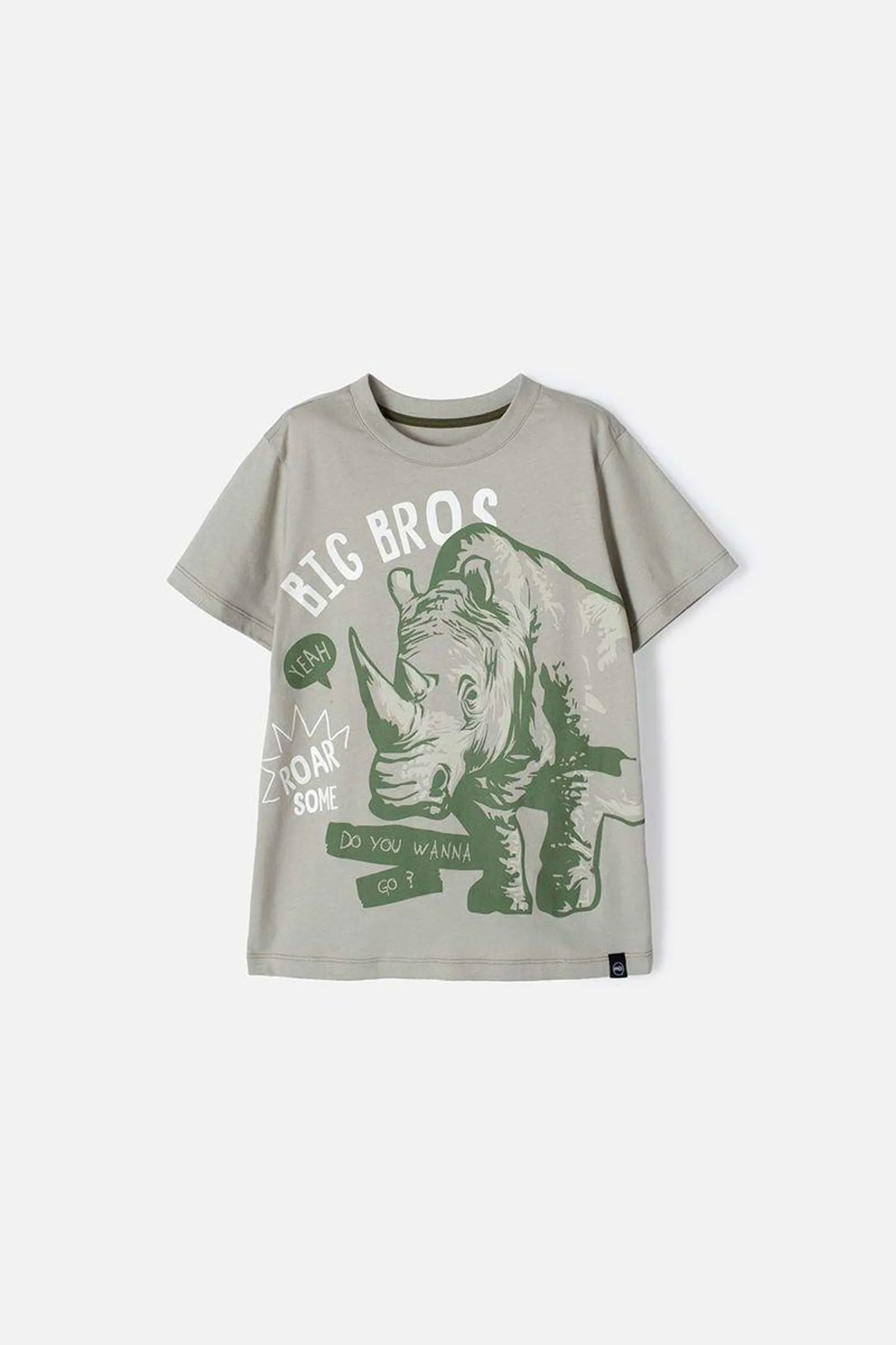 Camiseta de Mic manga corta gris para niño