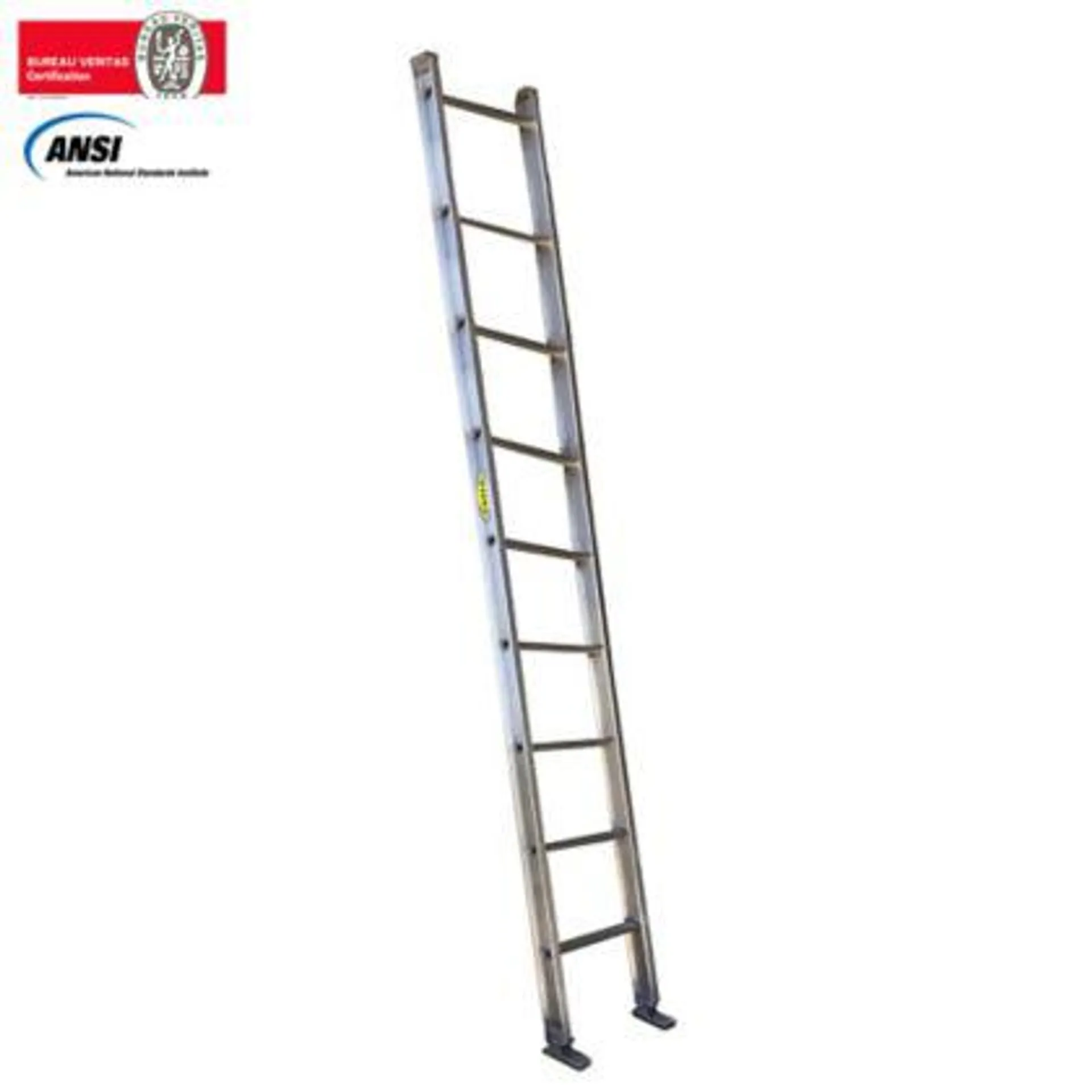 Escalera Certificada de Pared Aluminio 9 Pasos 3,00 Metros de 136 Kilogramos de Resistencia