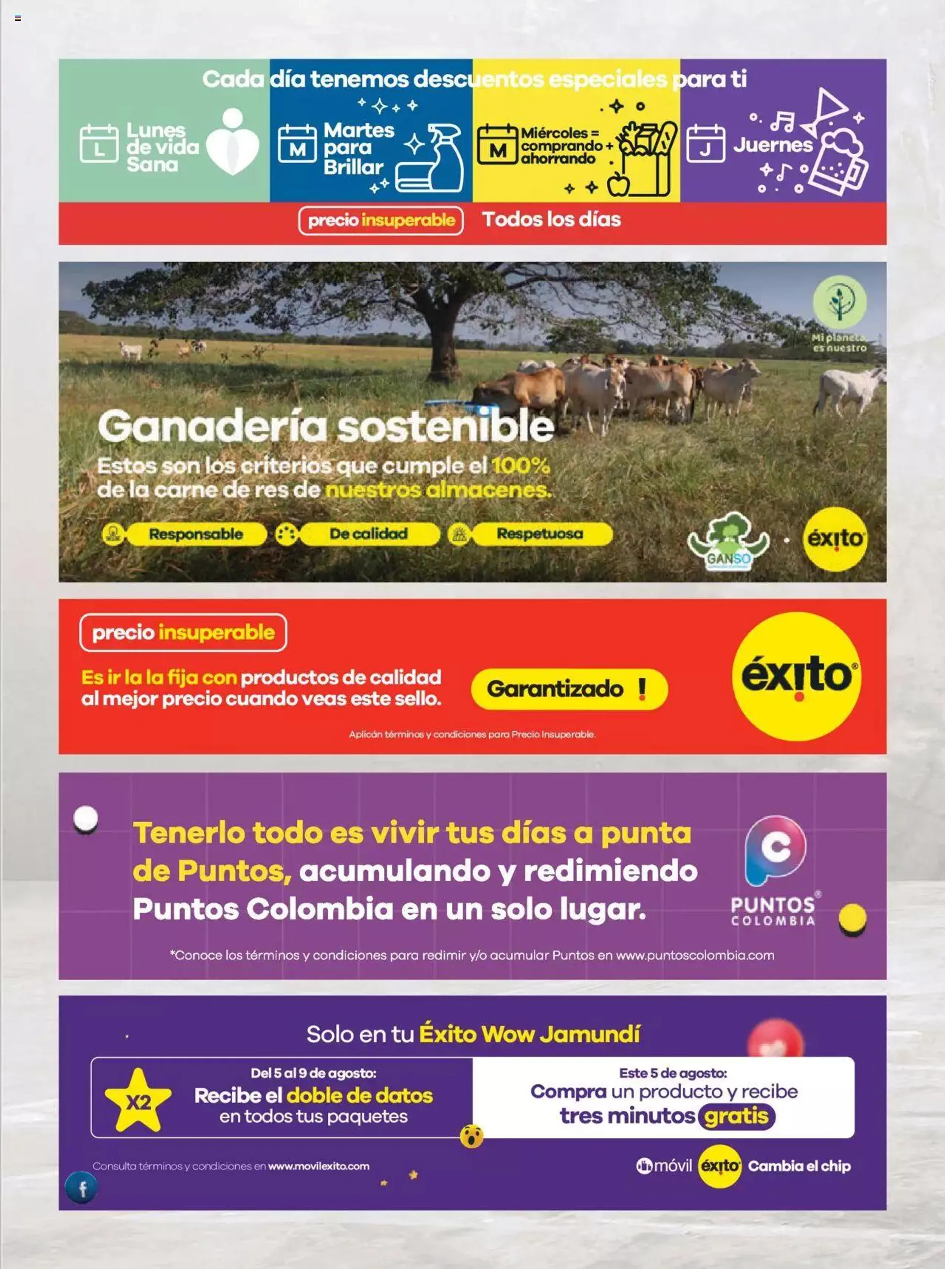 Catalogo de Éxito - Nuevo éxito WOW Jamundí 5 de agosto al 9 de agosto 2023 - Pag 19