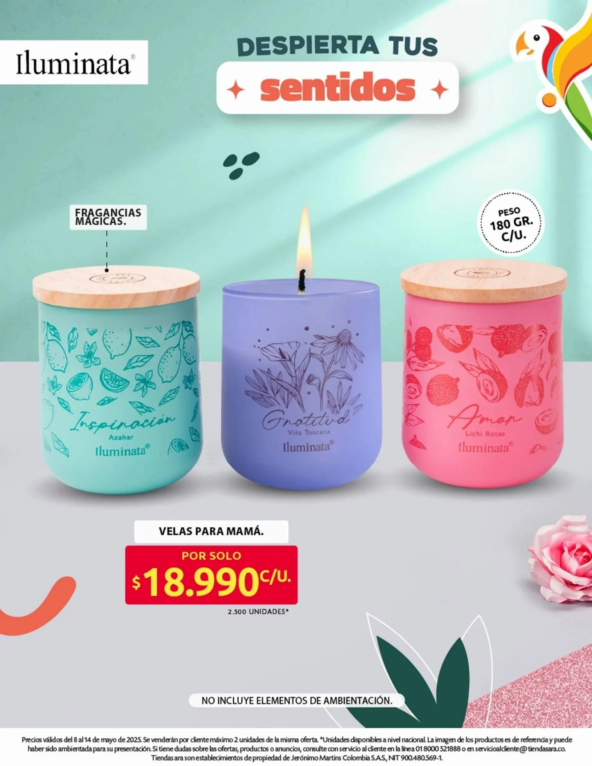 Catalogo de Catálogo Ara 8 de mayo al 15 de mayo 2025 - Pag 26